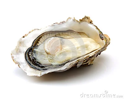fresh-opened-oyster-white-background-67444991.jpg