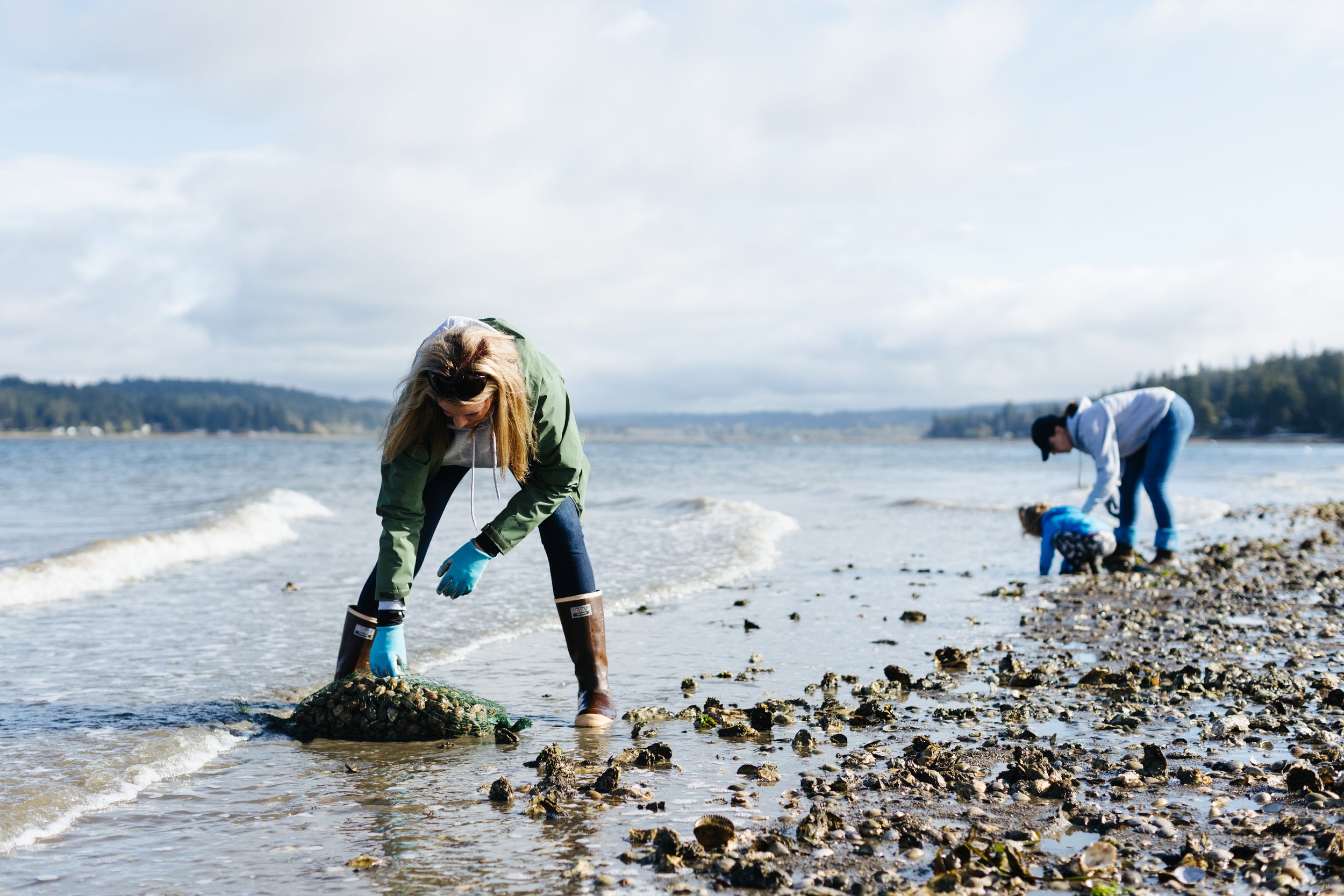 Oysters, Despite What You’ve Heard, Are Always in Season