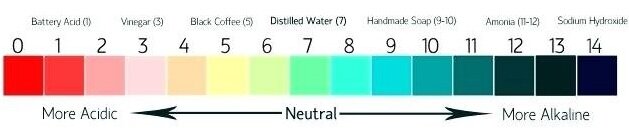 coffee-ph-level-sodium-hydroxide-lye-has-a-of-about-putting-it-at-the-very-top-of-the-scale-when-too-much-lye-is-used-in-the-soap-the-level-will-what-is-the-ph-of-low-acid-coffee.jpg