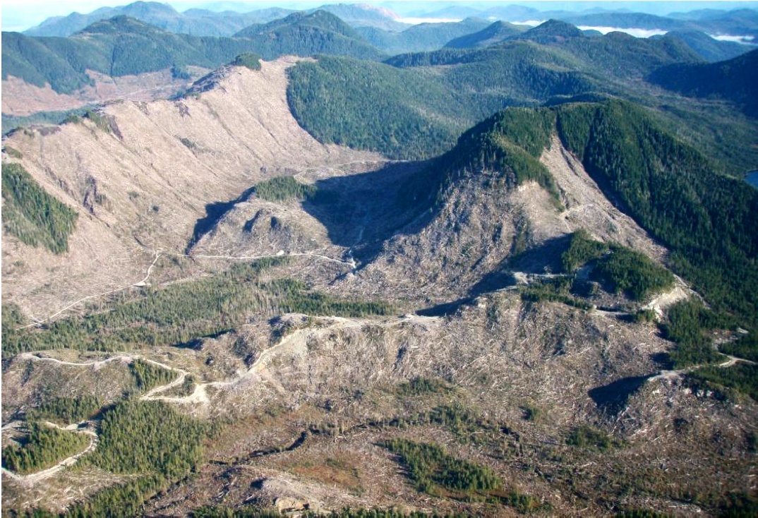 Recent Sealaska logging on Cleveland Peninsula, mainland just north of Ketchikan. Under defederalization of the Tongass this would be the standard style of logging. (Becky Knight photo)