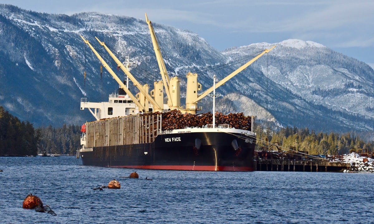A ship being loaded with logs just north of the Viking mill. The timber is bound for China. Photo by Archipelagan.