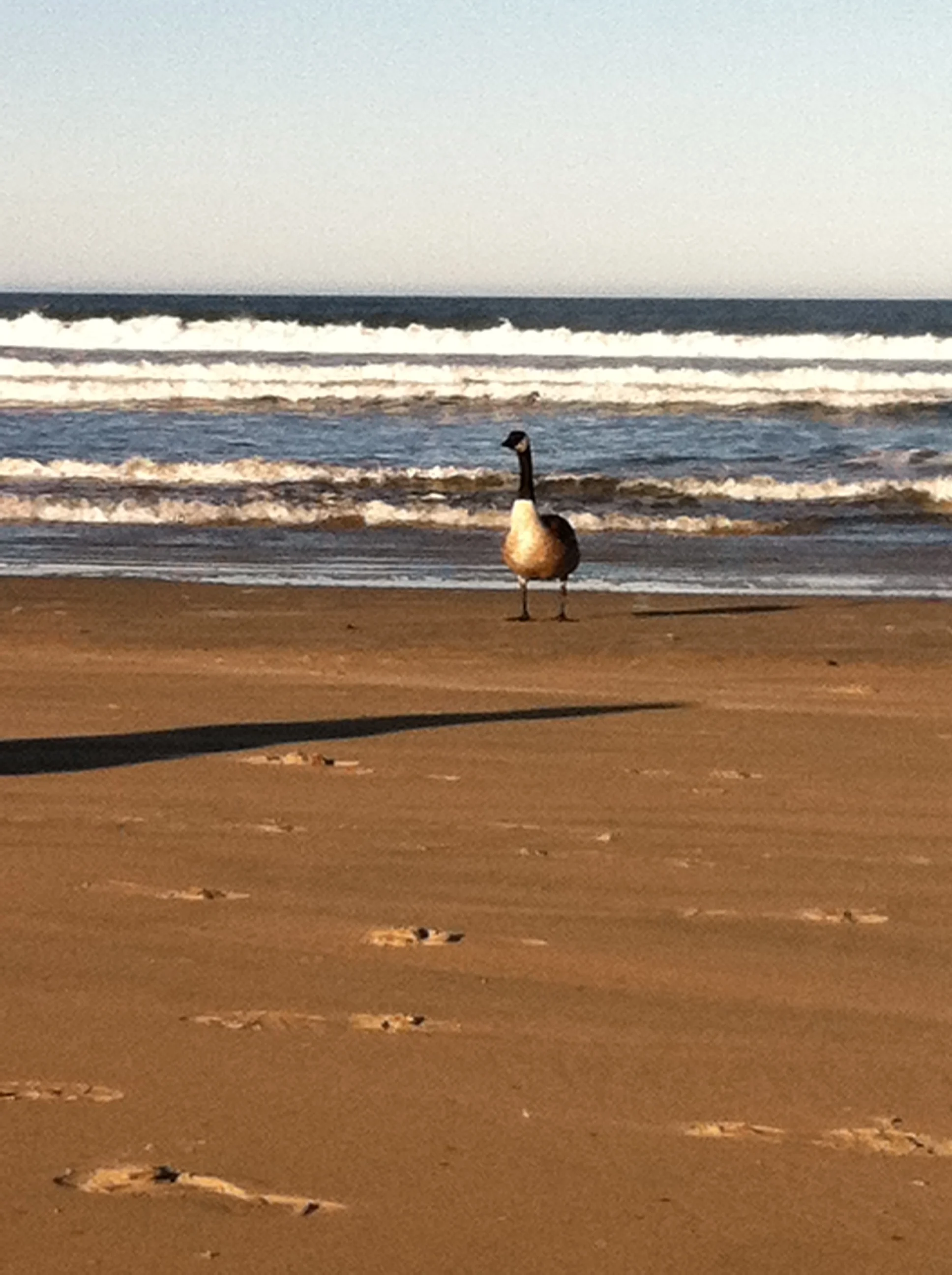 On Being Present: an Endurance Exercise
