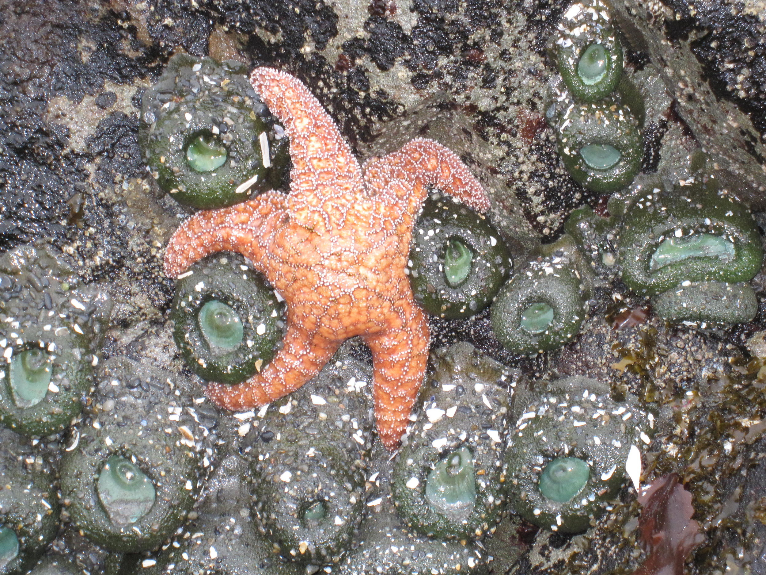 Twenty Years Ago Everything Was Possible