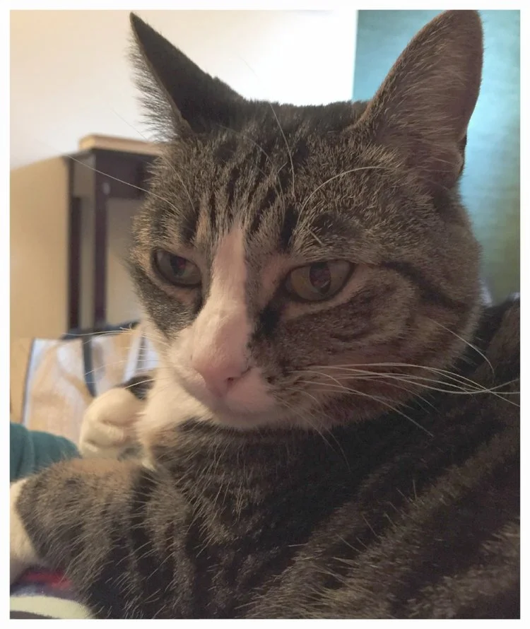 Feel Better #11: Socks!