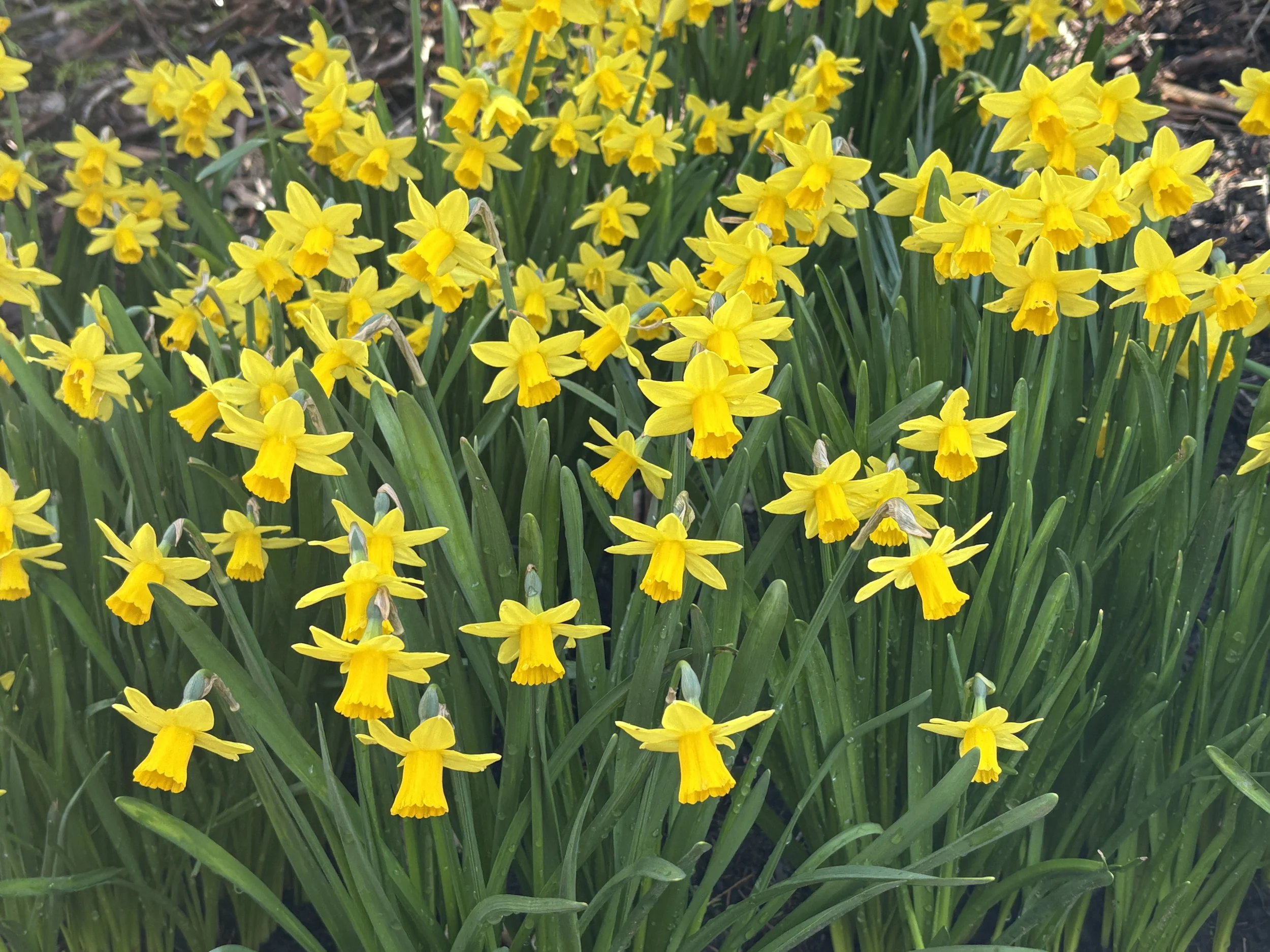IMG_0189.jpeg