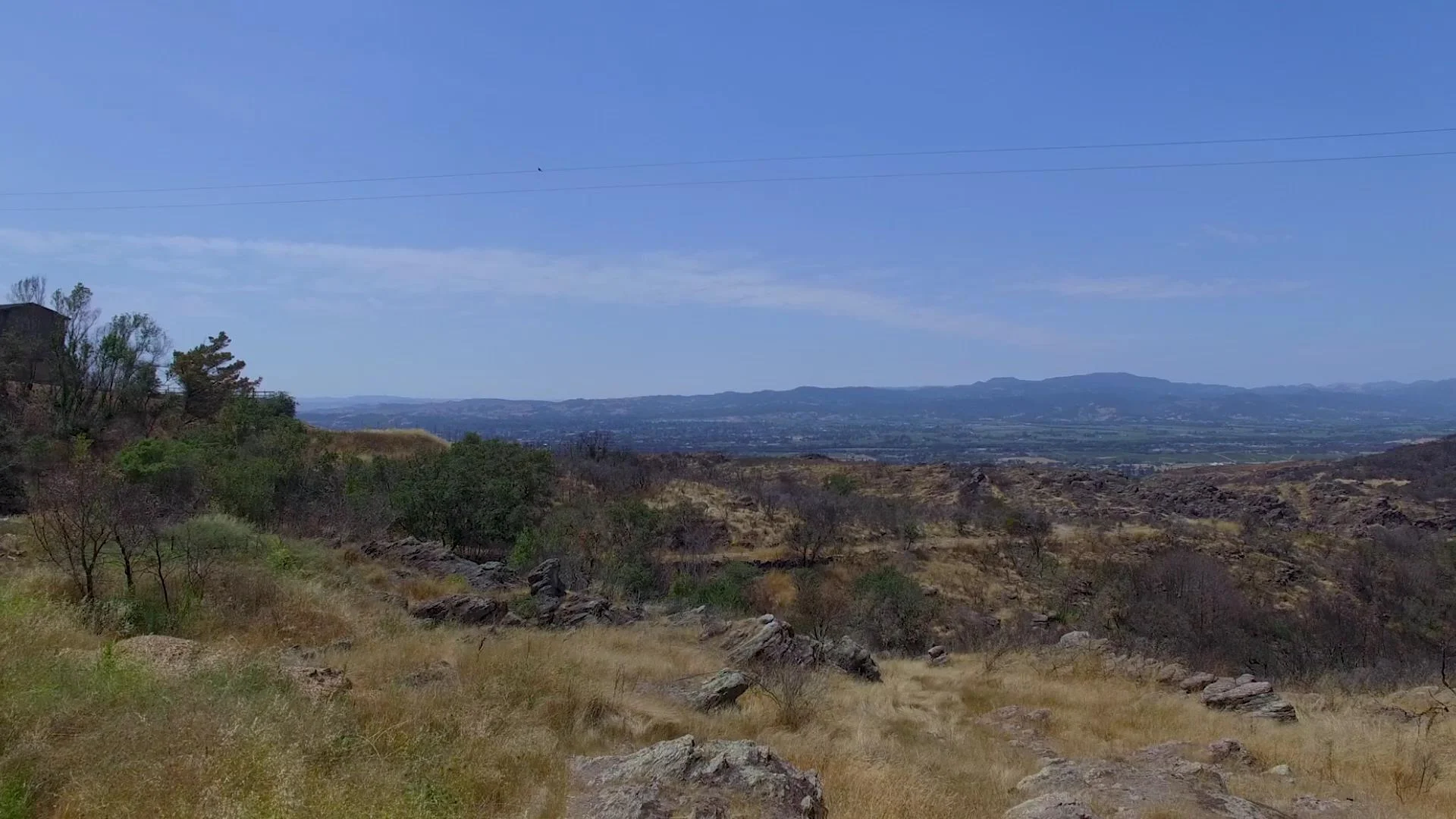 mayacamas-mountains-monticello-road.jpg