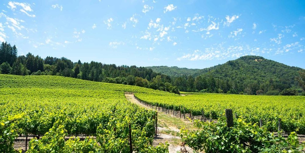 Sonoma Wine Country - Everywhere