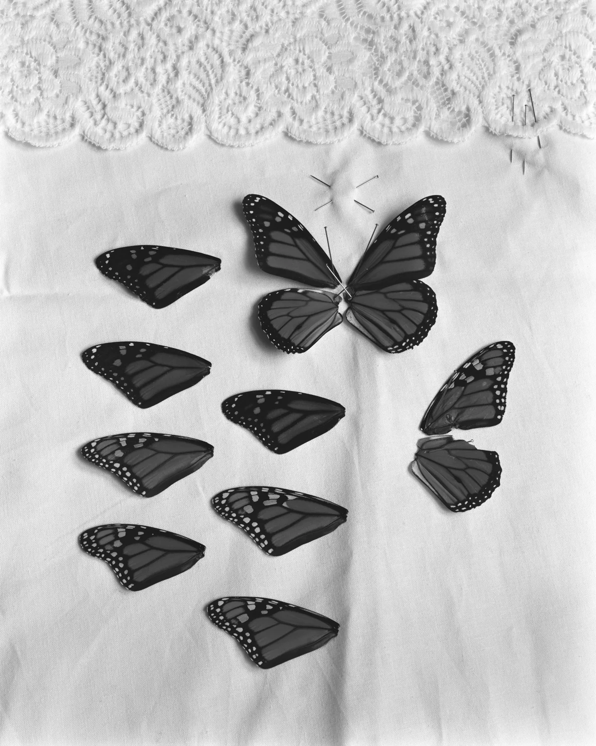 pieces of me