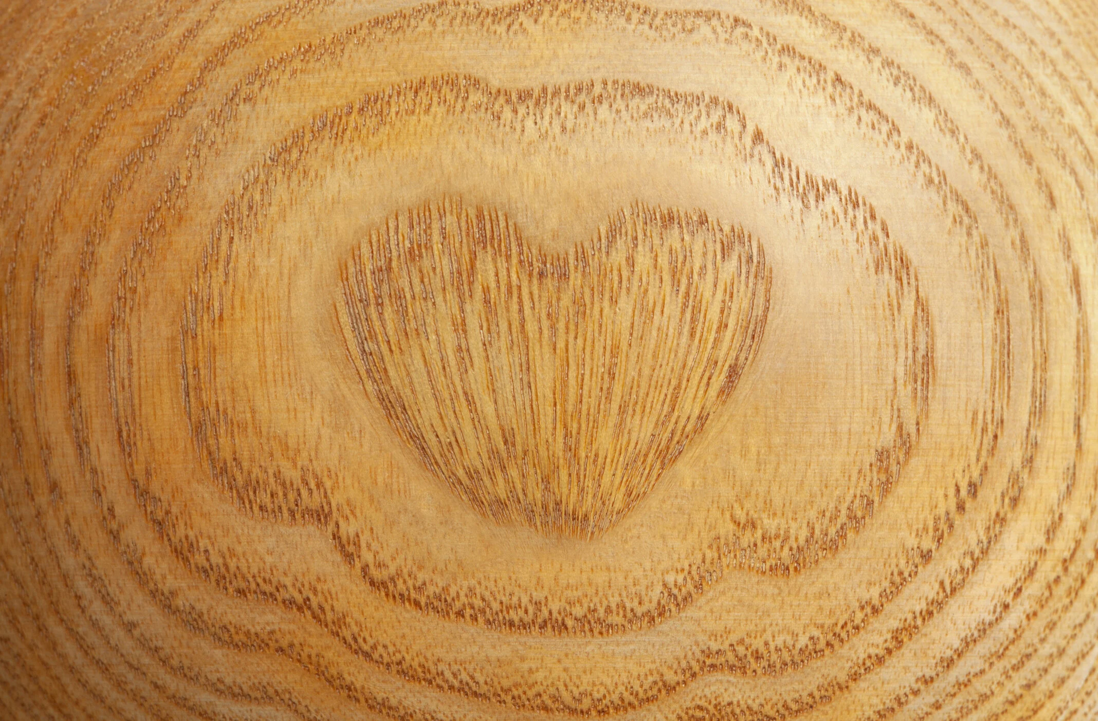 Is it Coaching or Therapy?