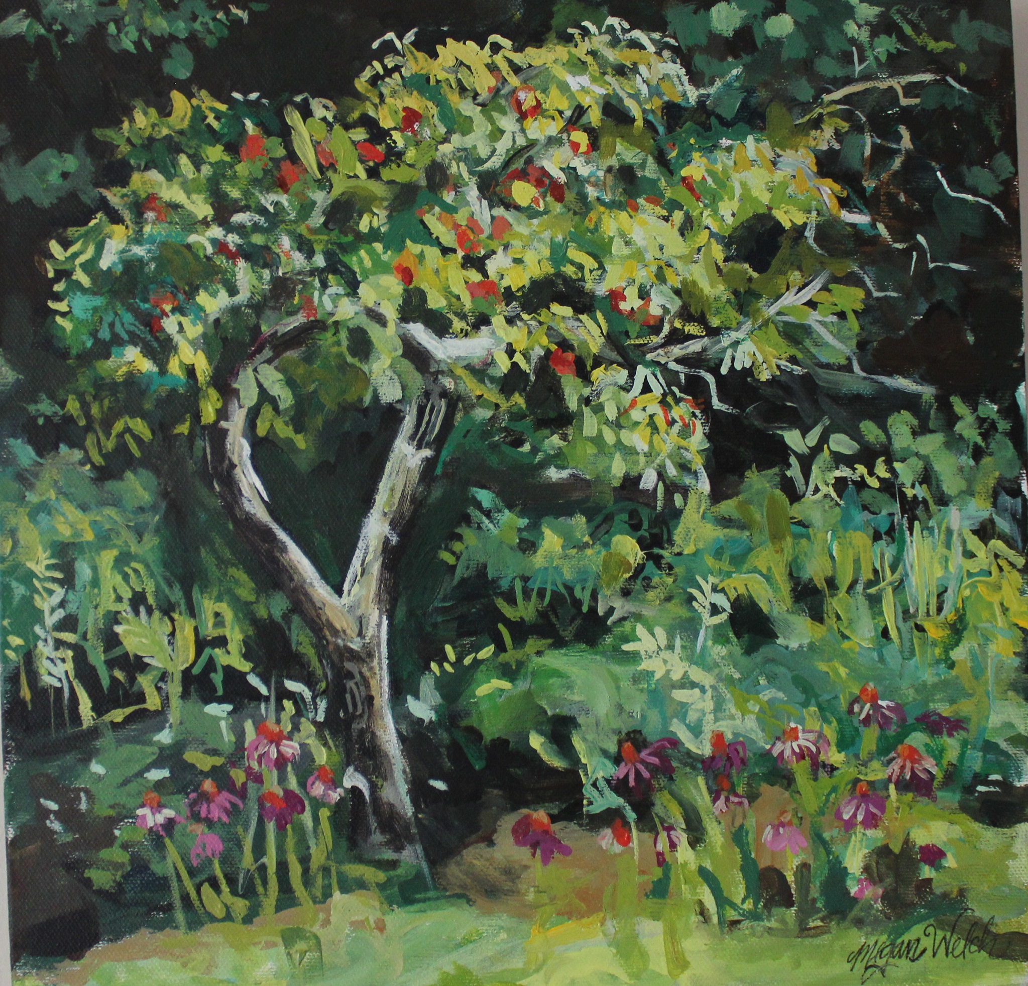 Peach Tree in Valley