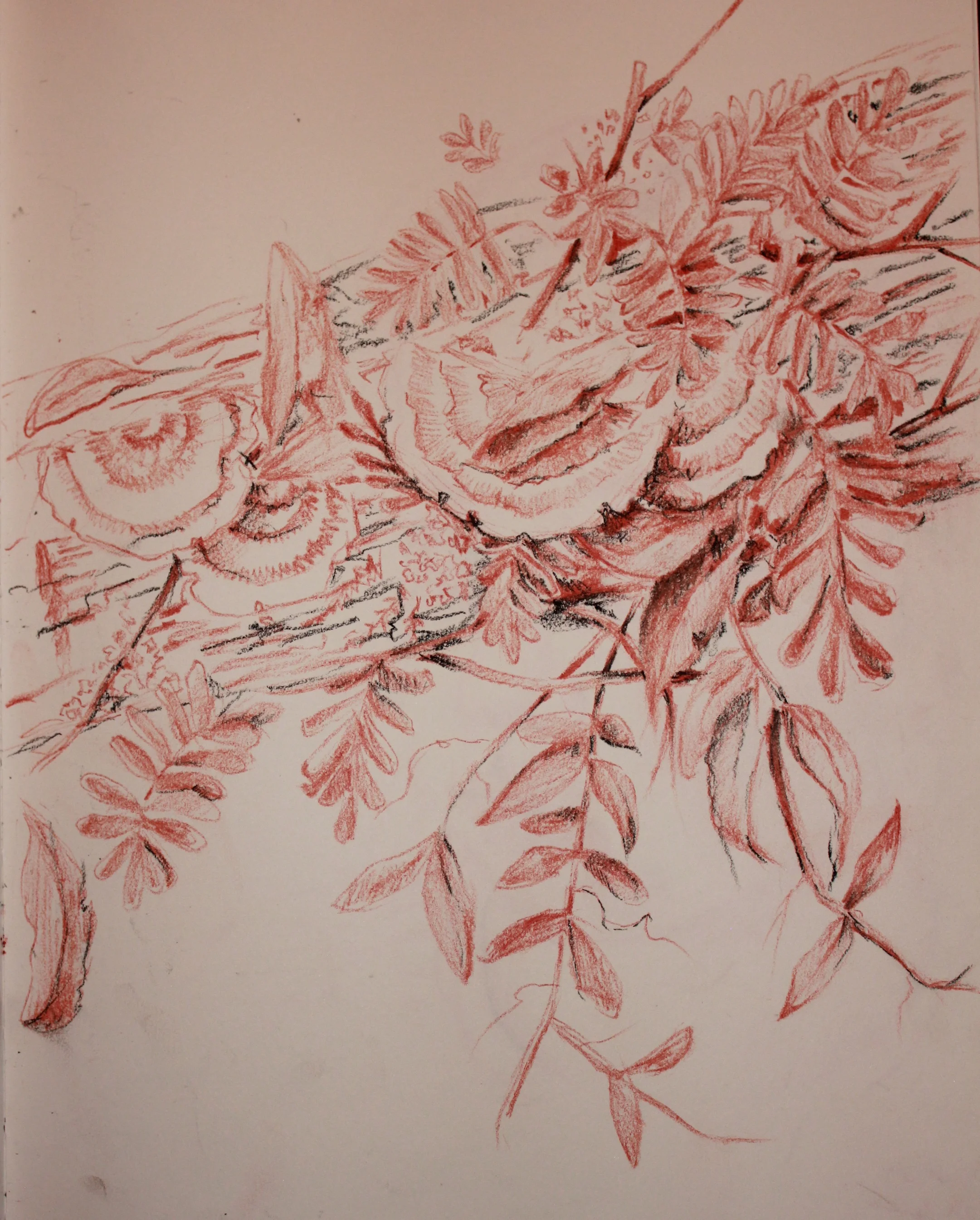 Woods Study