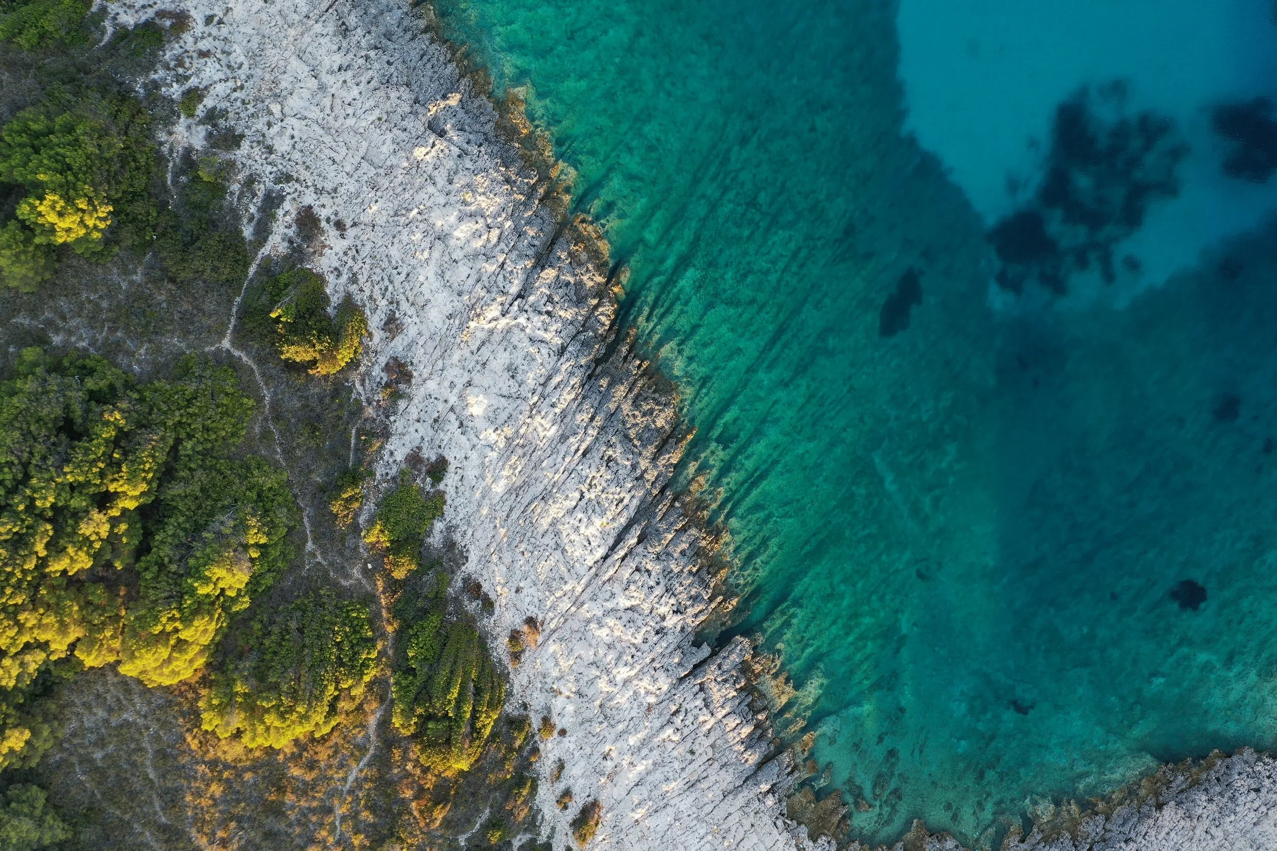 unsplash-image-tDnAmR9KmqE.jpg