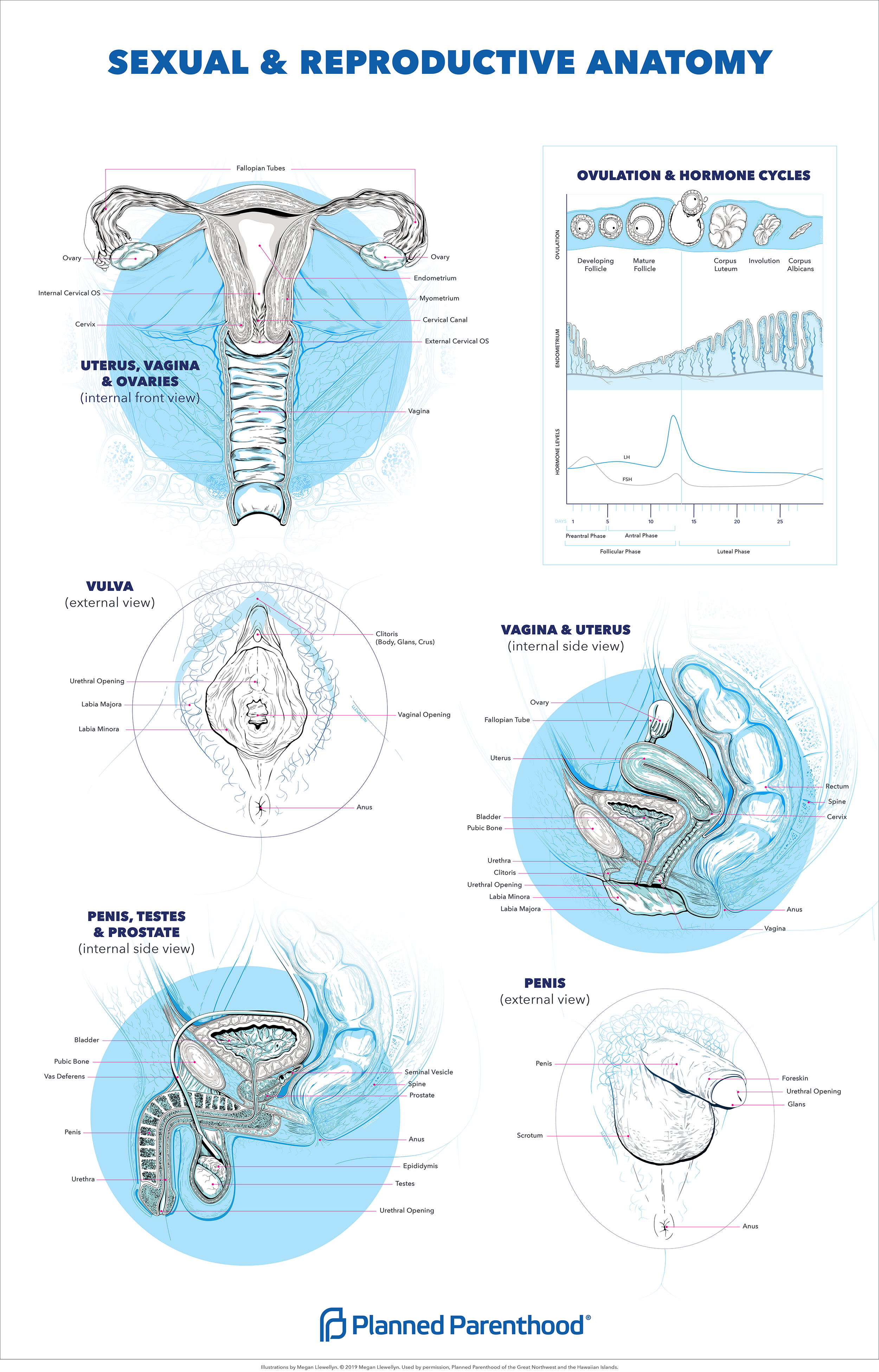 PROOF_SRHA-Poster2019 small.png