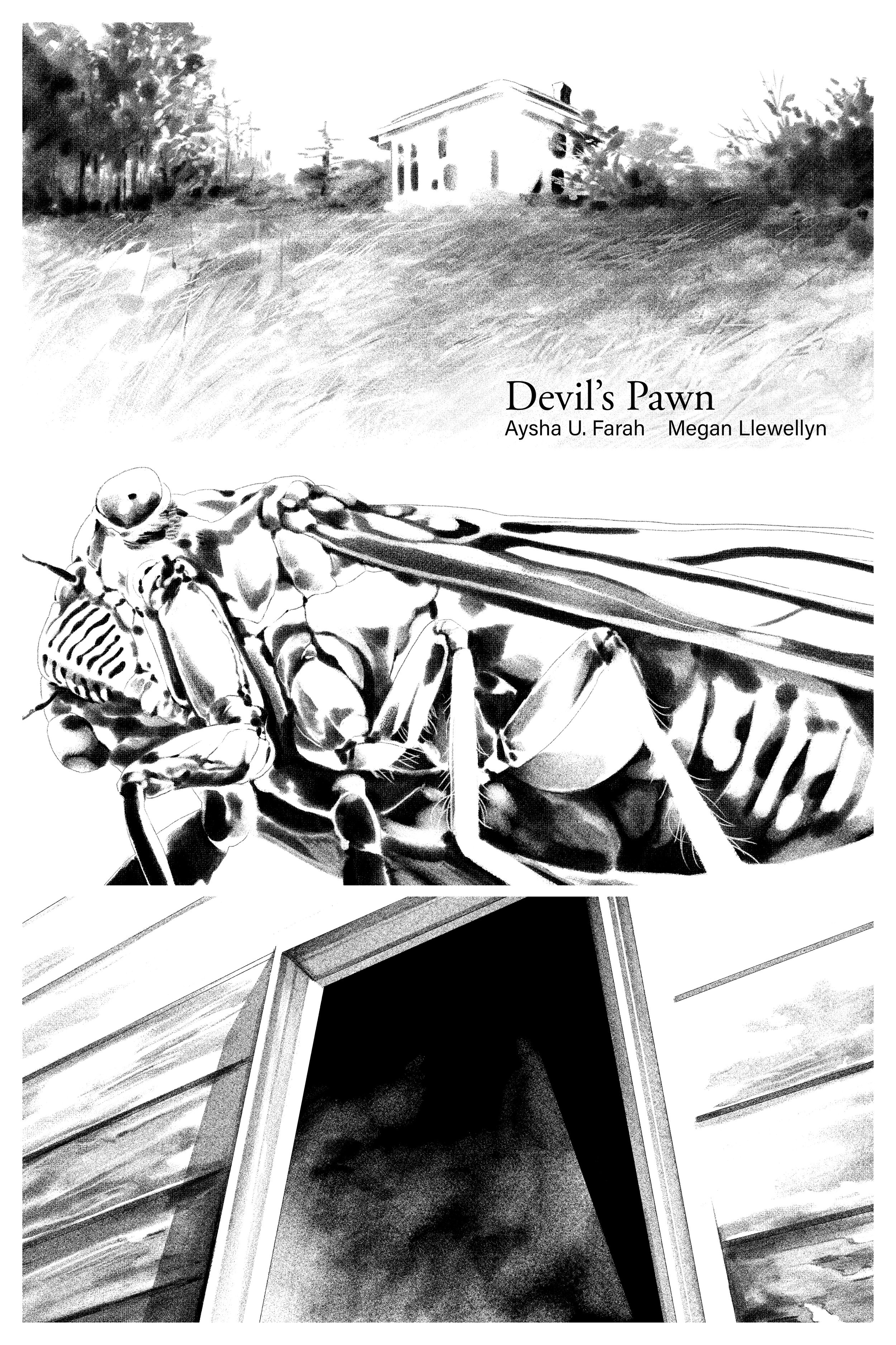 devils pawn pagesArtboard 1.jpg