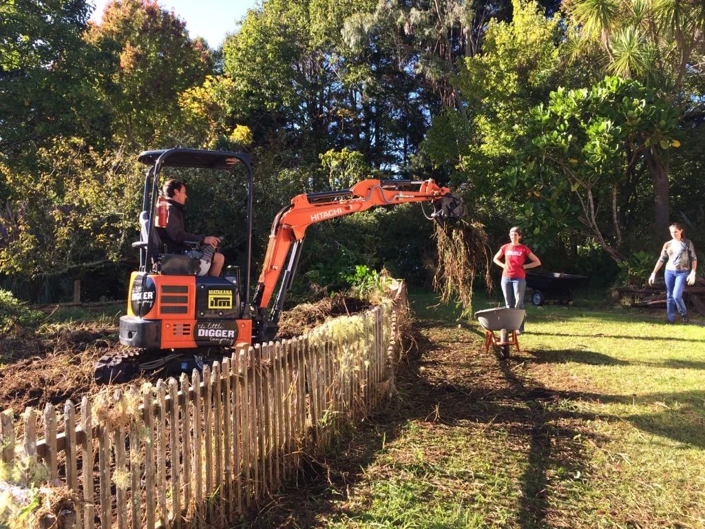 Matakana: Rainbow Valley Farm Taking to the Kikuyu (creeping, perennial, hairy, mat-forming grass) to unearth the vegetable patch