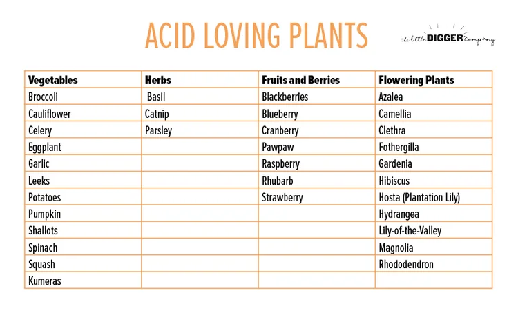Why your garden needs PEAT! — The Little Digger Company