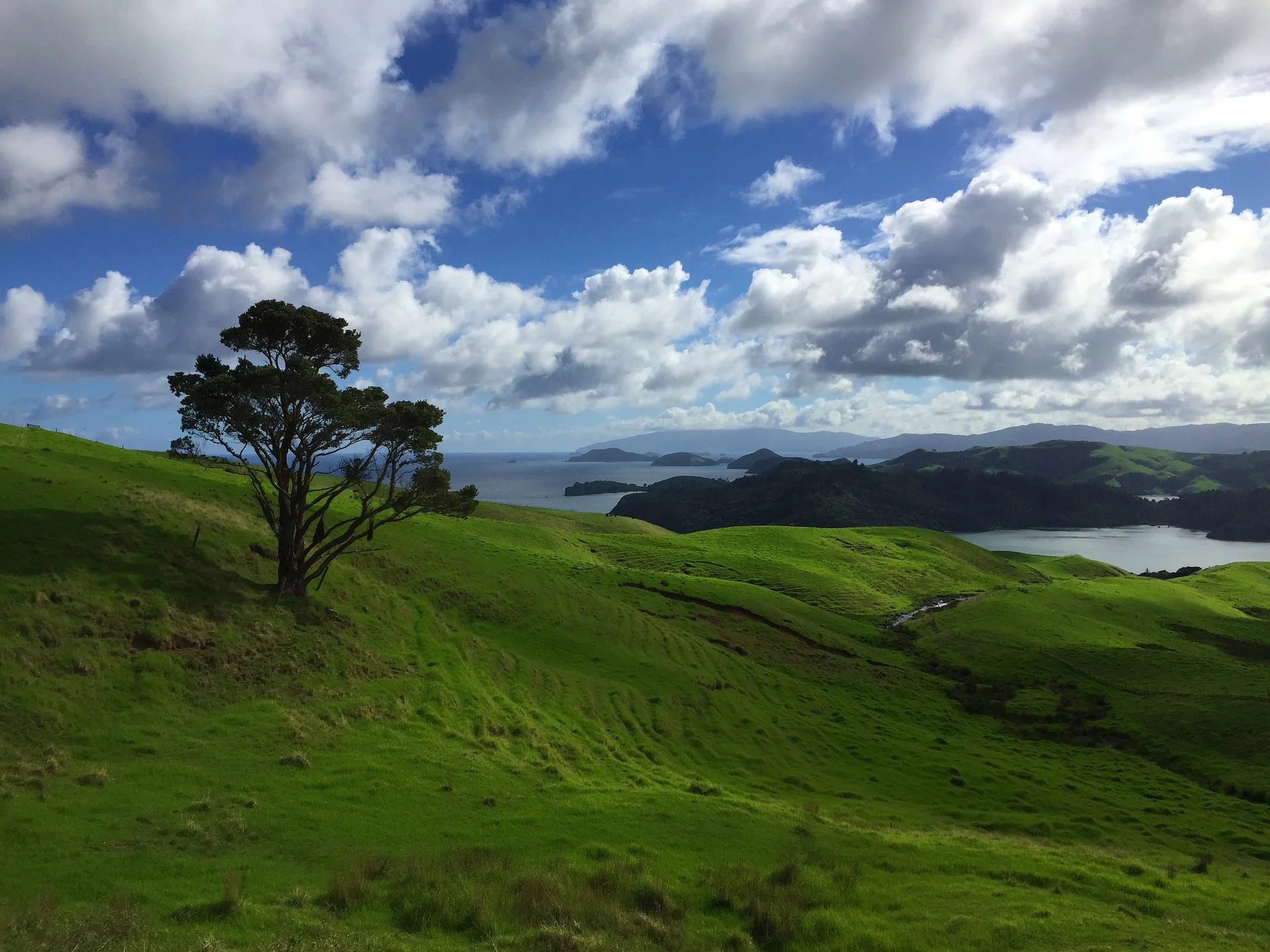 landscape-2778325_1920.jpg