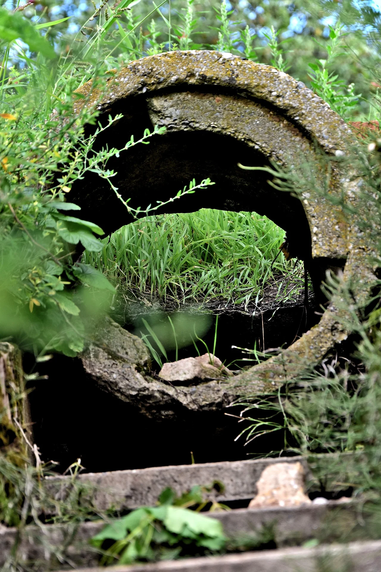 culvert clearing matakana.jpg