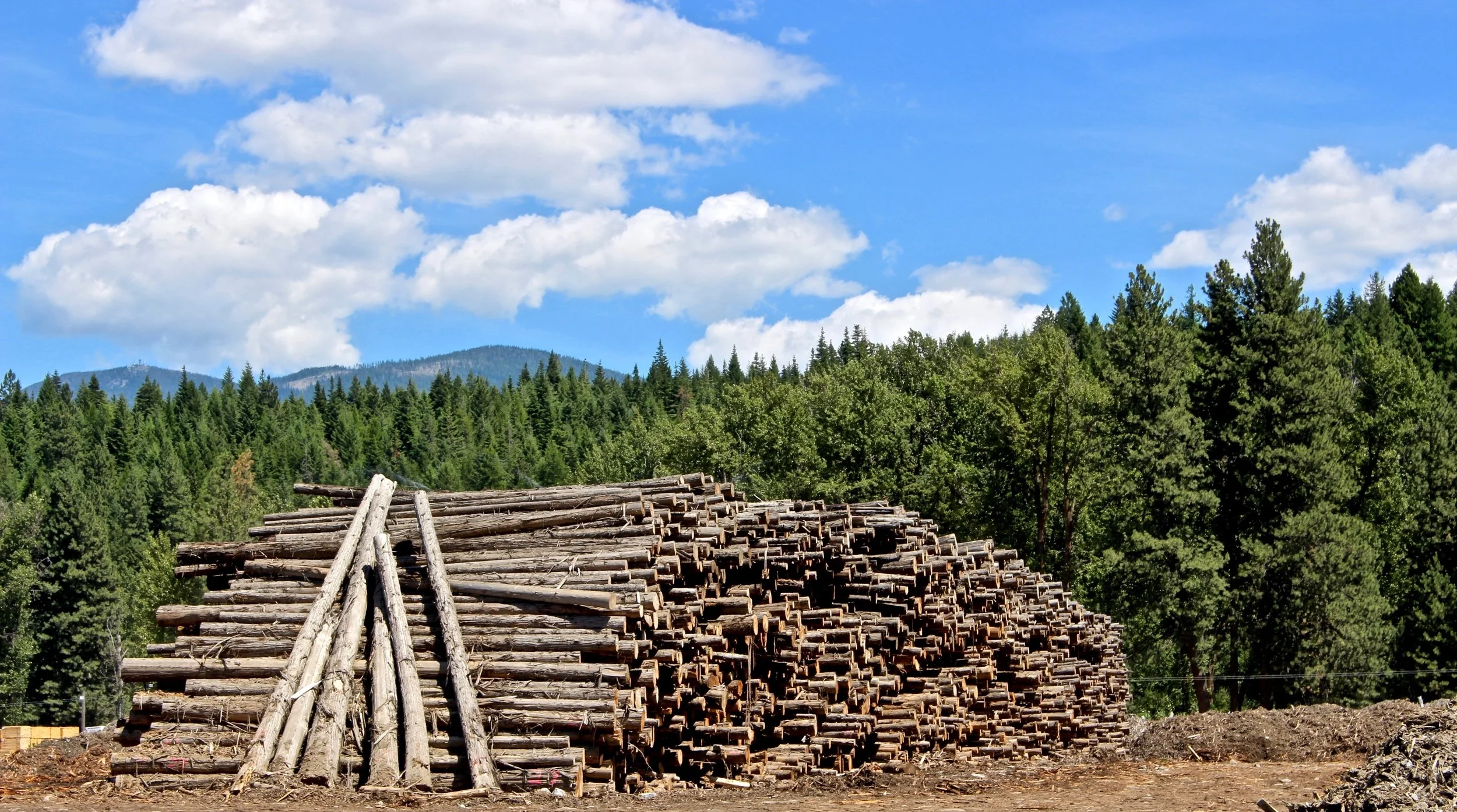 A pile of lumber sits unattended