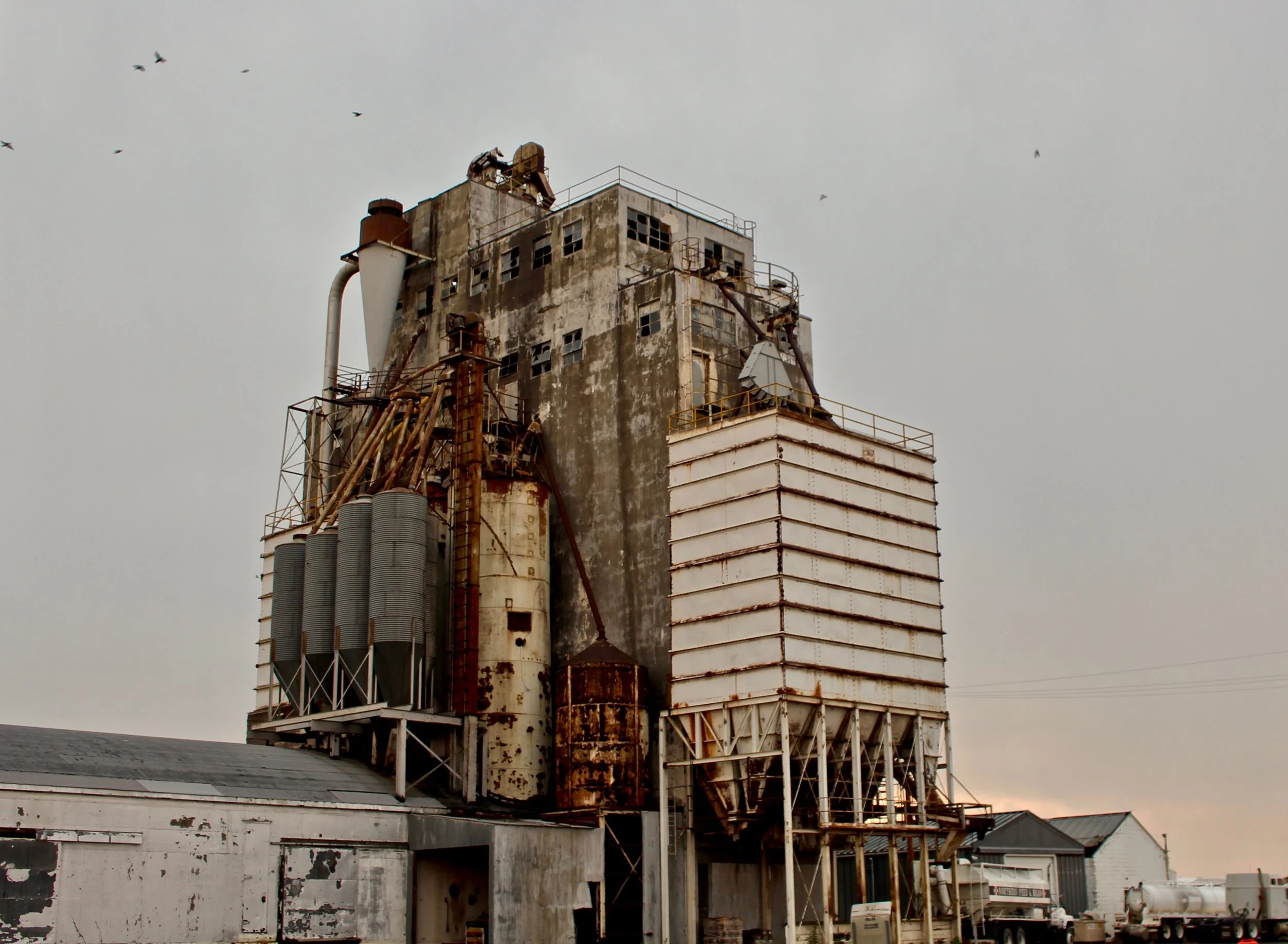 The Ault grain elevator just after a storm