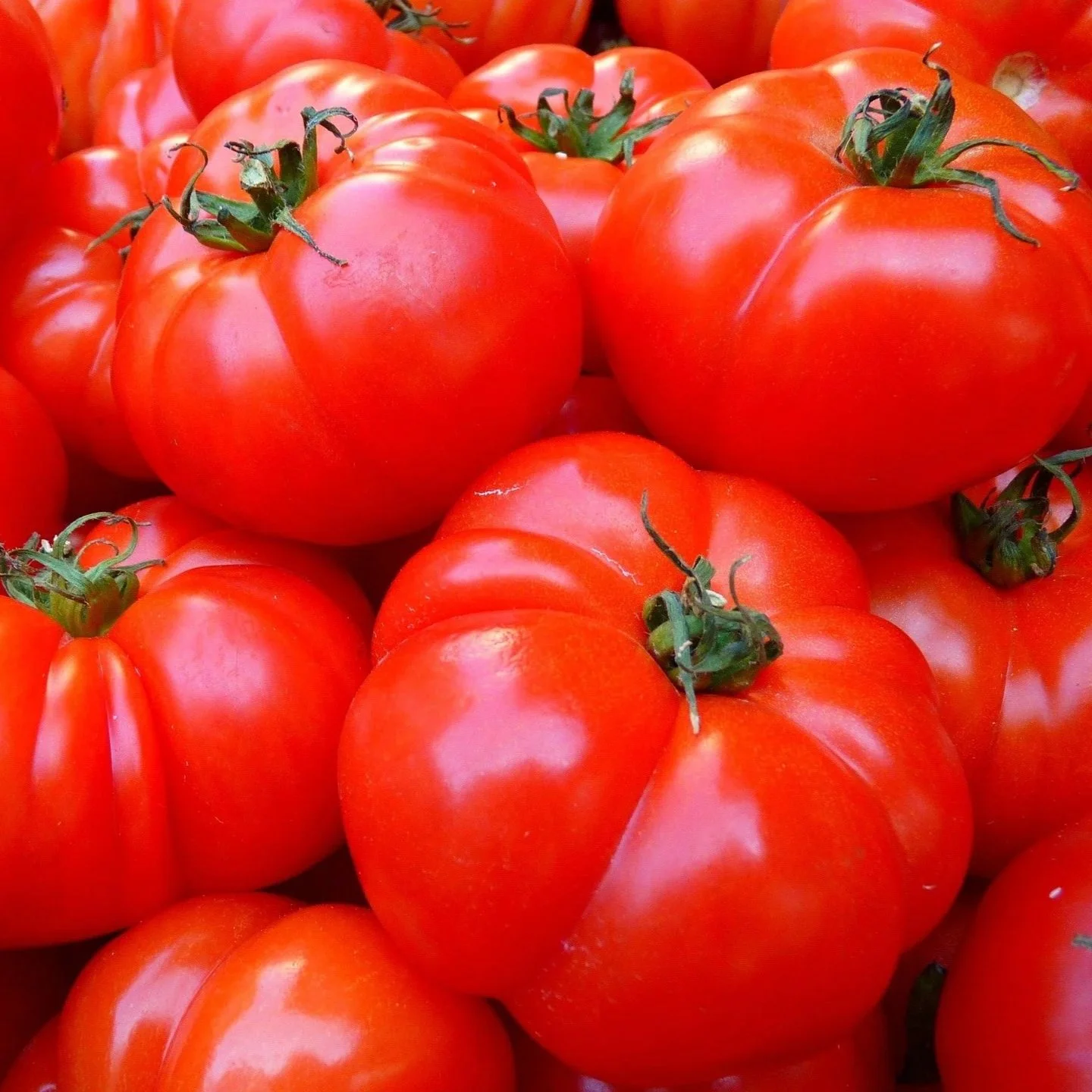 loggawiggler-tomatoes-5356_1920.jpg
