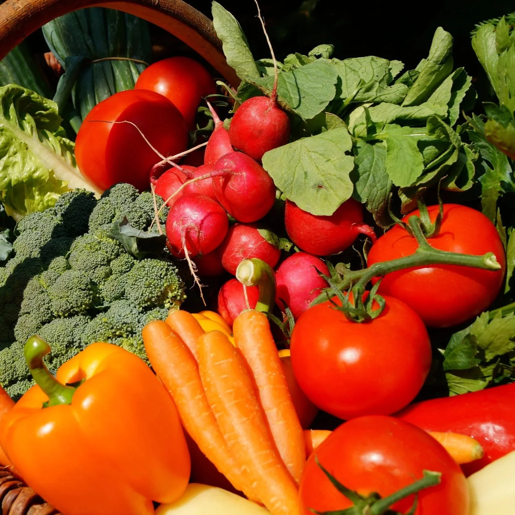 svenhilker-vegetables-3386212.jpg