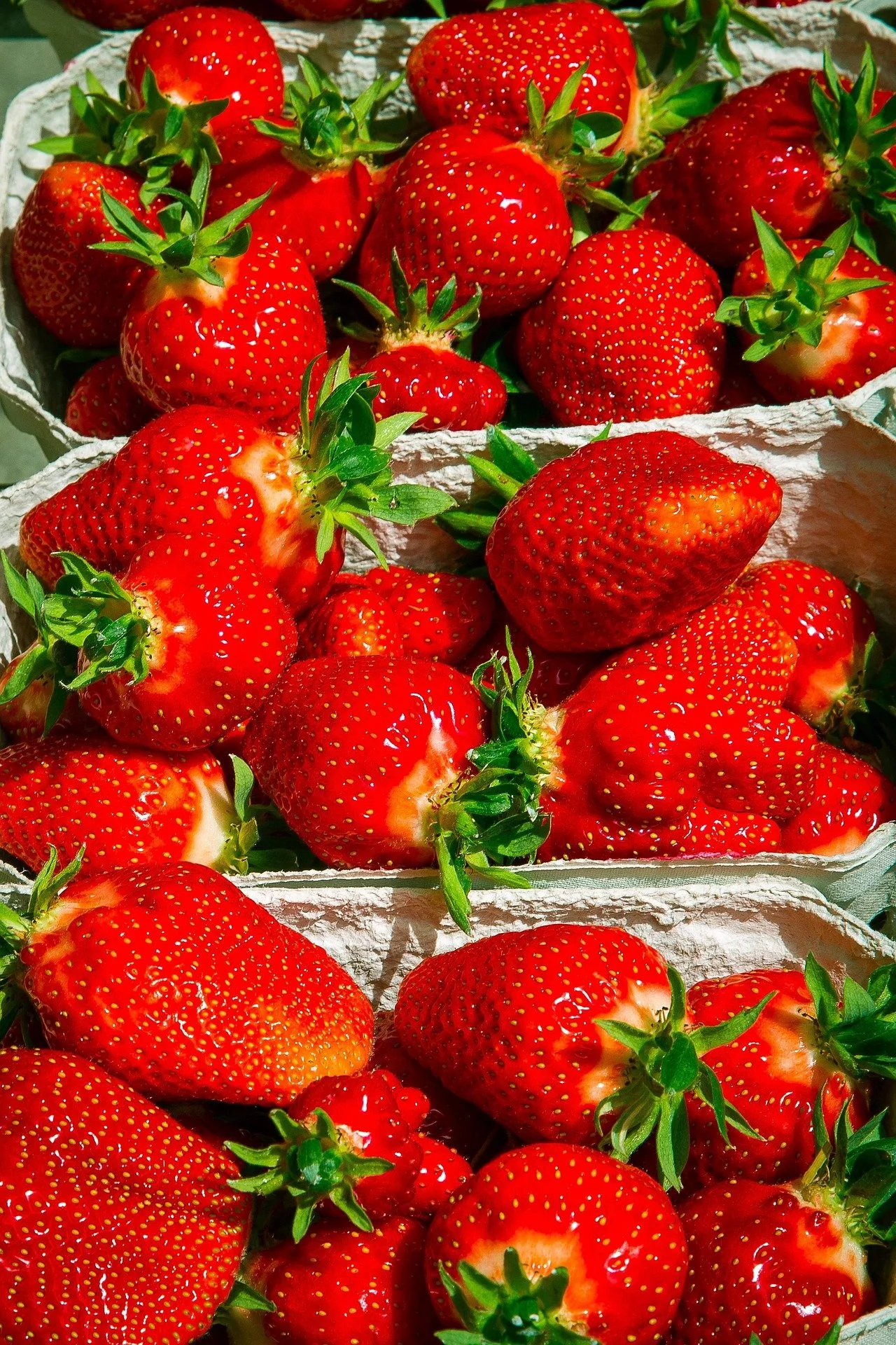 Wednesday, June 17, 6pm: Strawberry Fields Forever