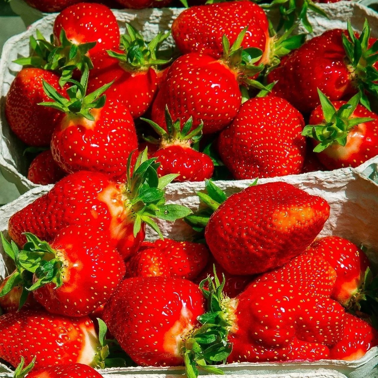 maxmann-strawberry-2290258_1920.jpg