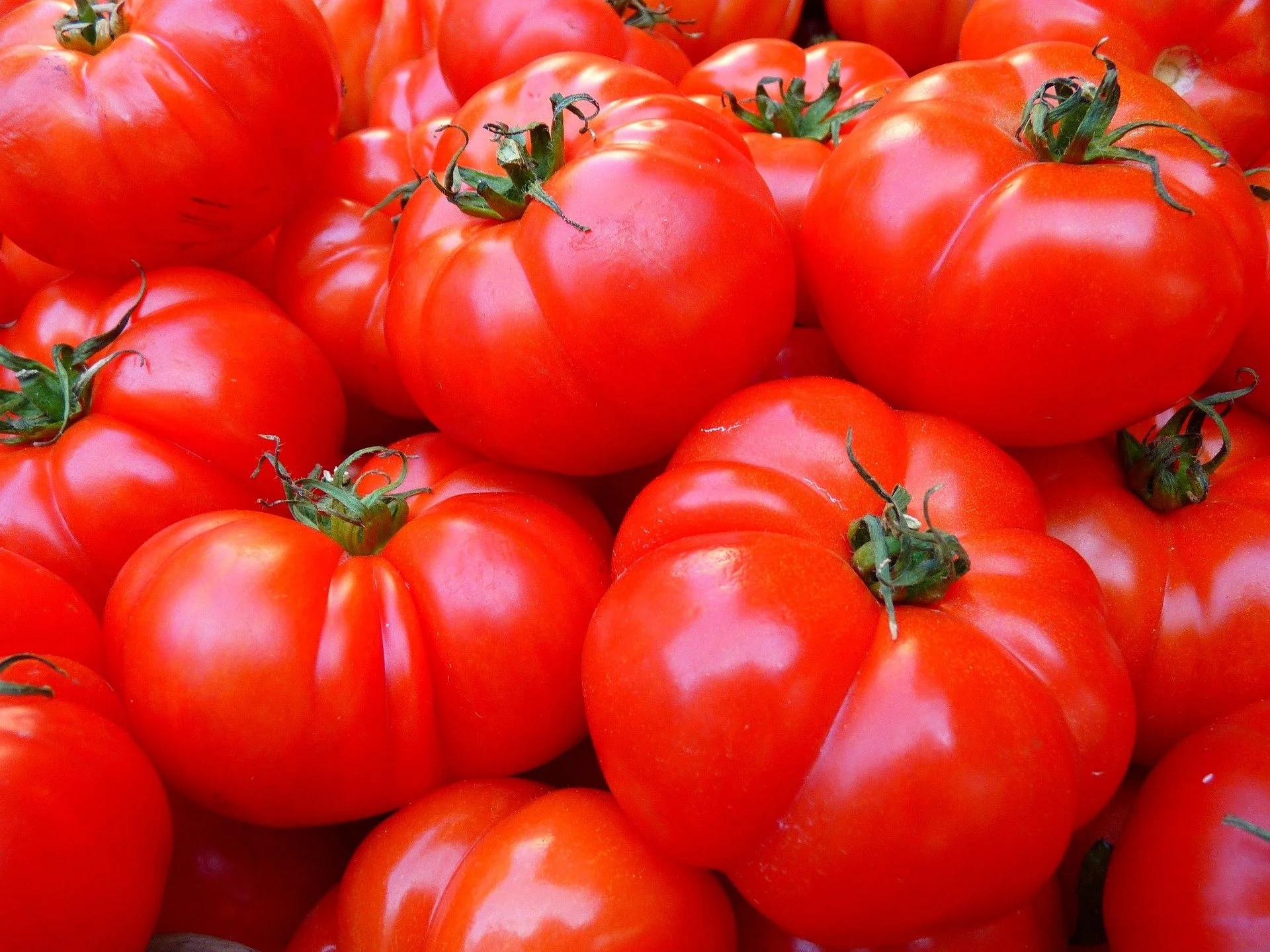 Tuesday, July 28, 6pm: Totally Tomatoes