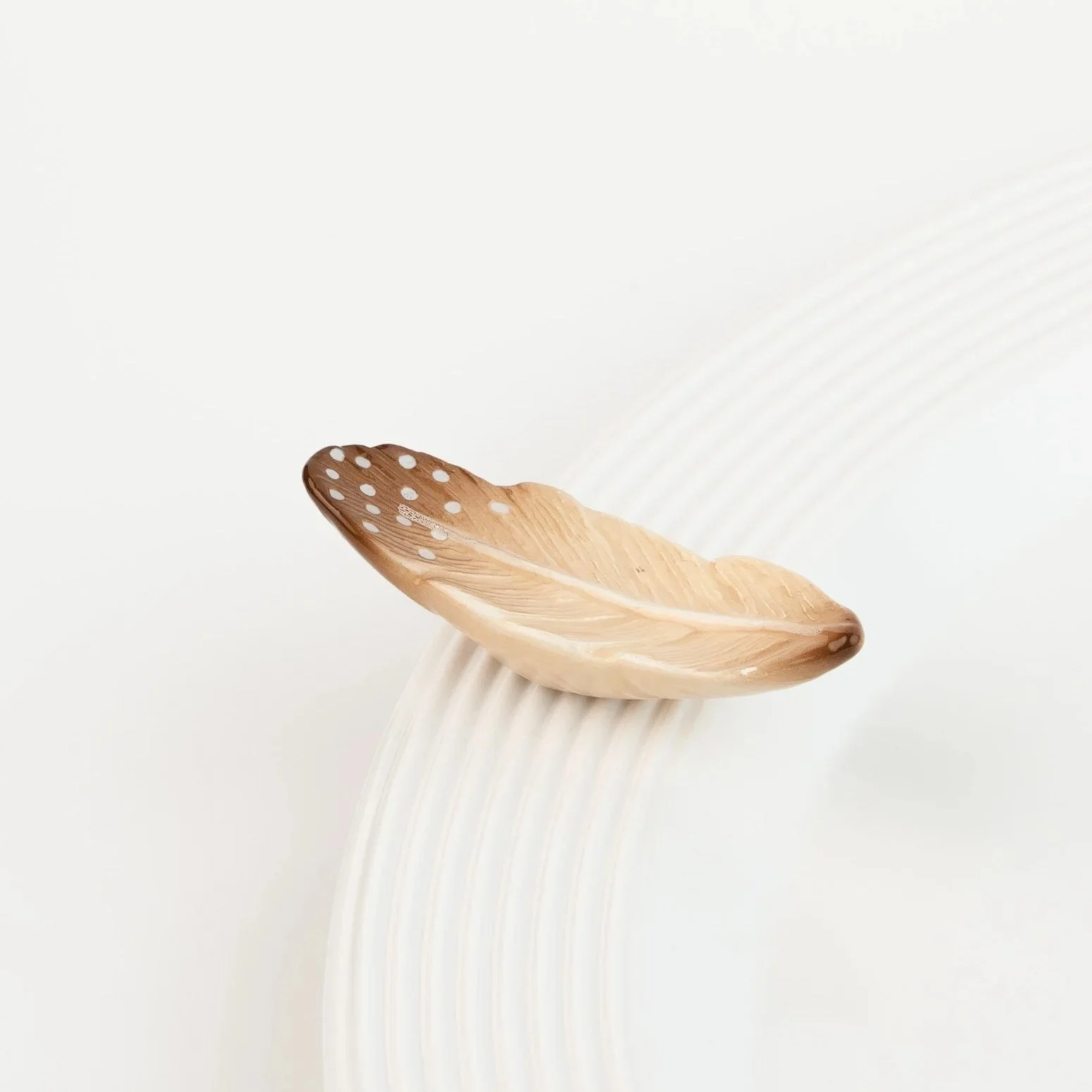 nf.A450.In-Platter3.jpg