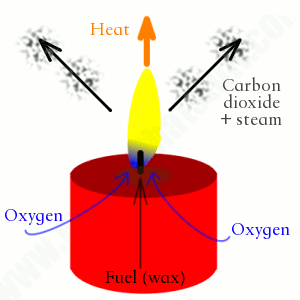 Here is a really simple, and neat illustration which depicts how wicks work!