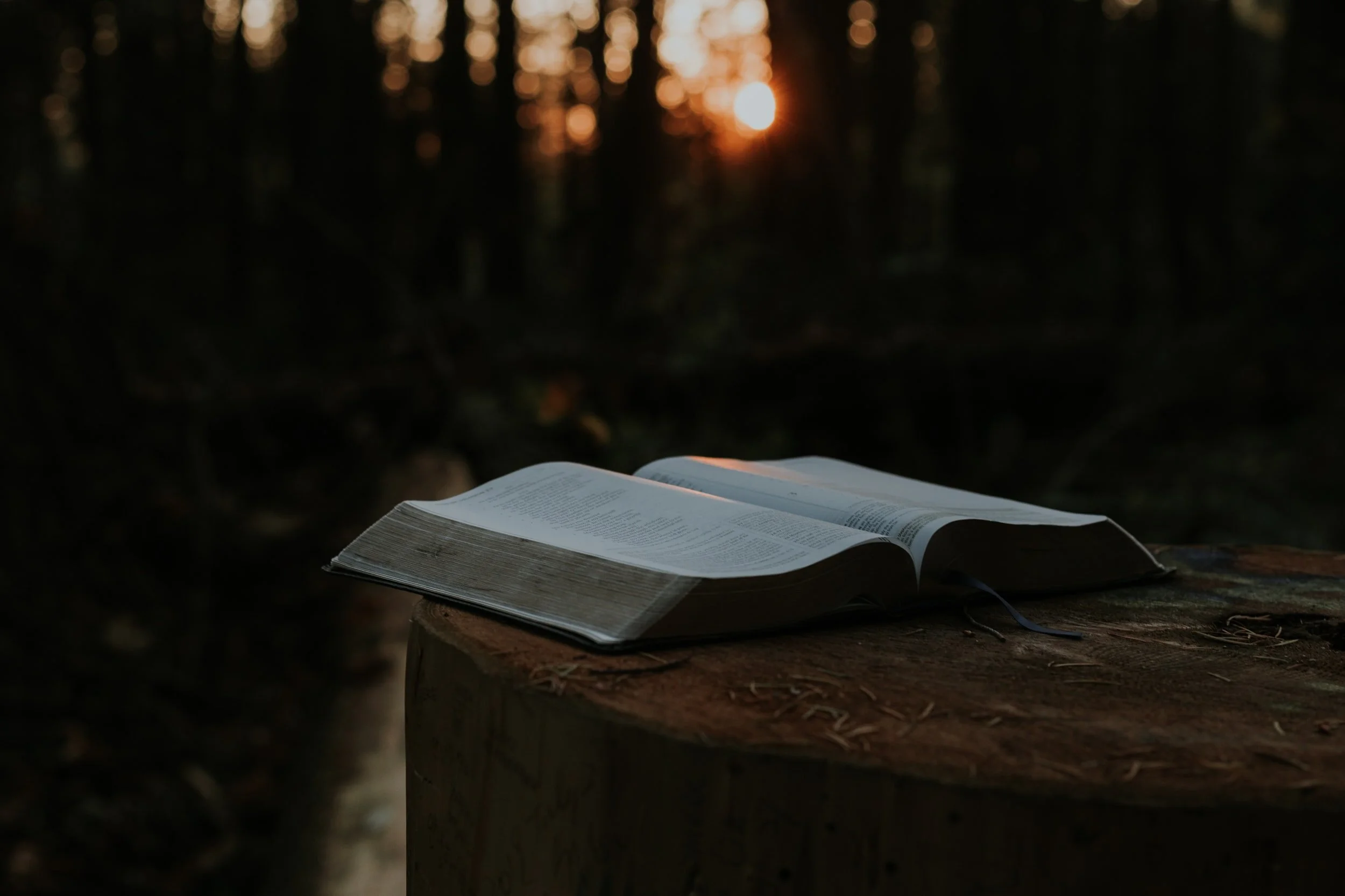 A Spiritual Evening with the Lord (John 3: 1-12 )