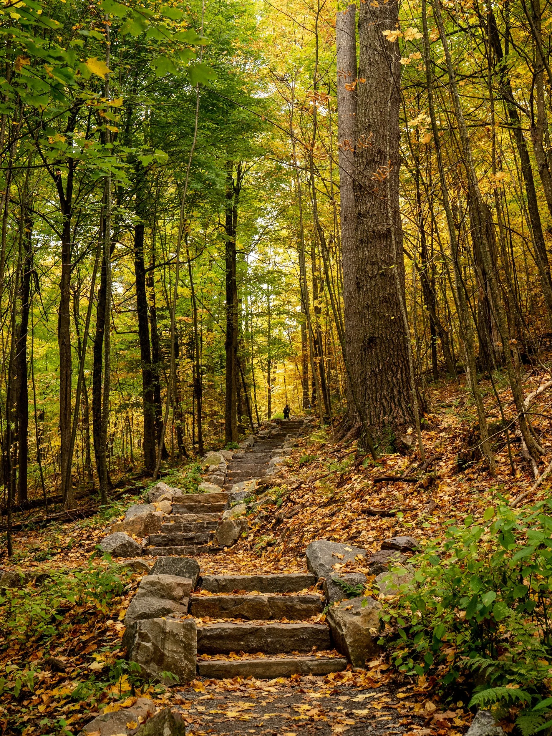The Road to Emmaus: The Road to Experiencing Christ