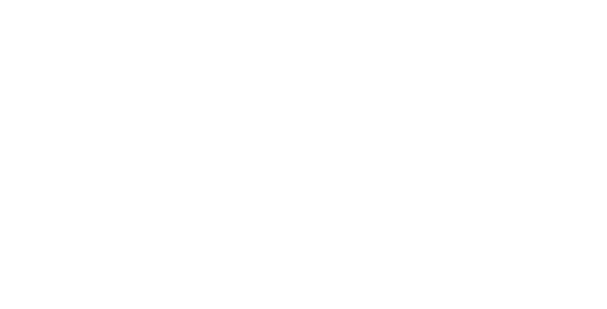 conscious minds logo.png