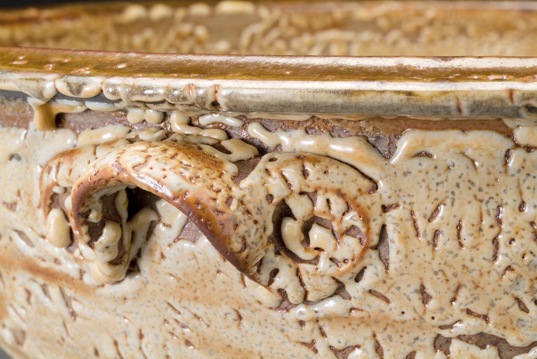 crawling shino bowl detail.jpg