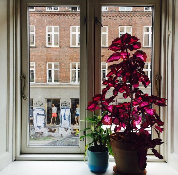 A particularly peaceful space in Copenhagen.
