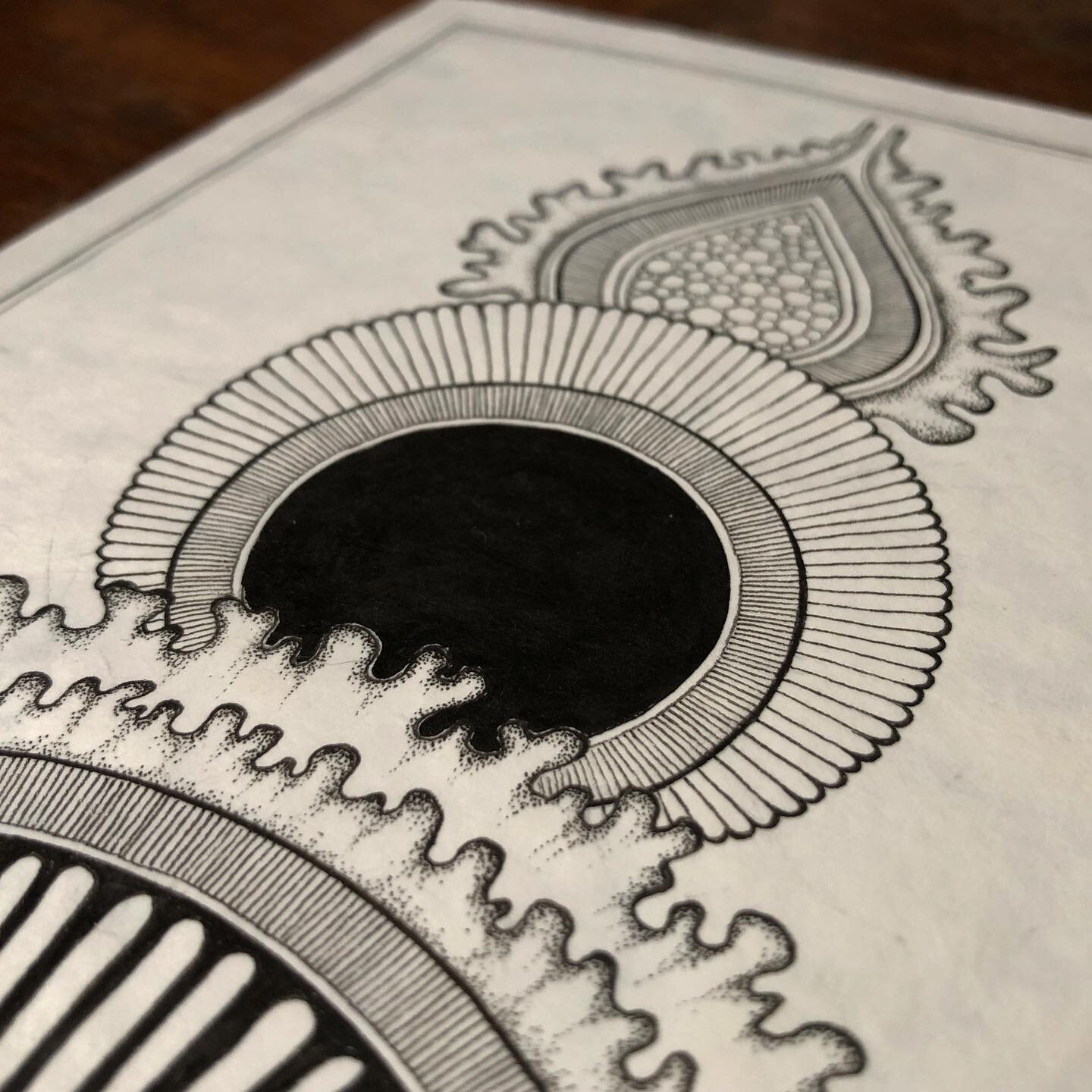 &bull;BlackHole&bull;