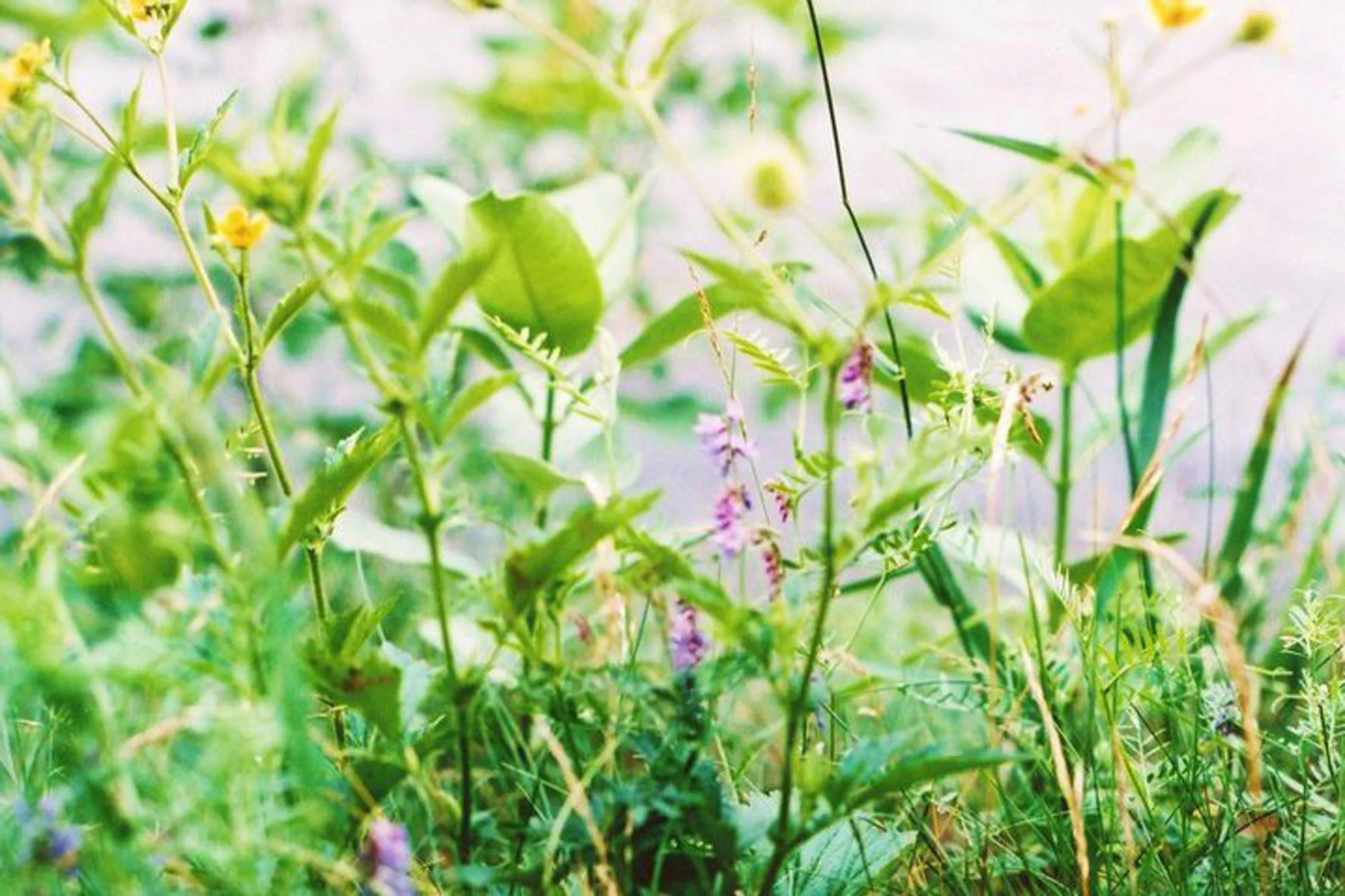 35798_1304045335204_1652610117_750063_3376751_n - Copy - Copy.jpg