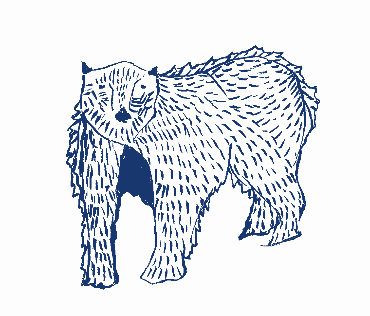 bear.png