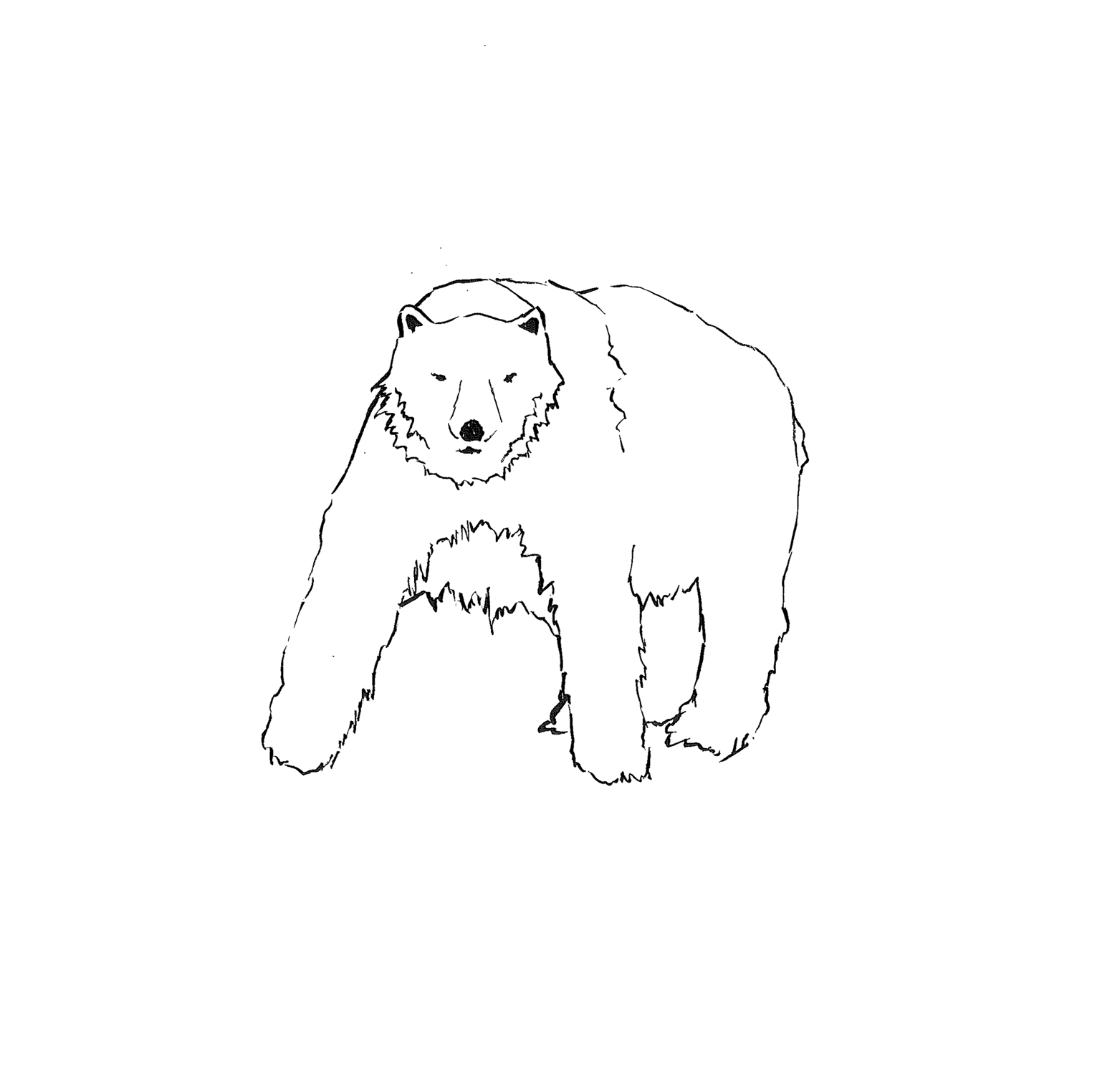 big-polar.png