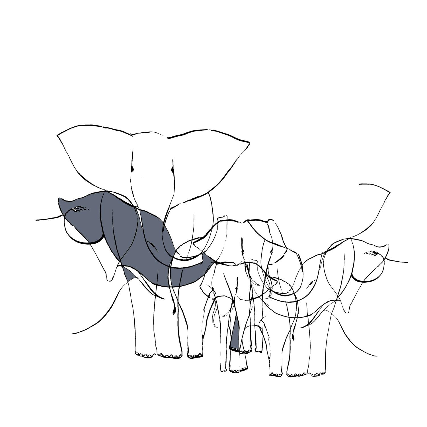 elephant_plate.png