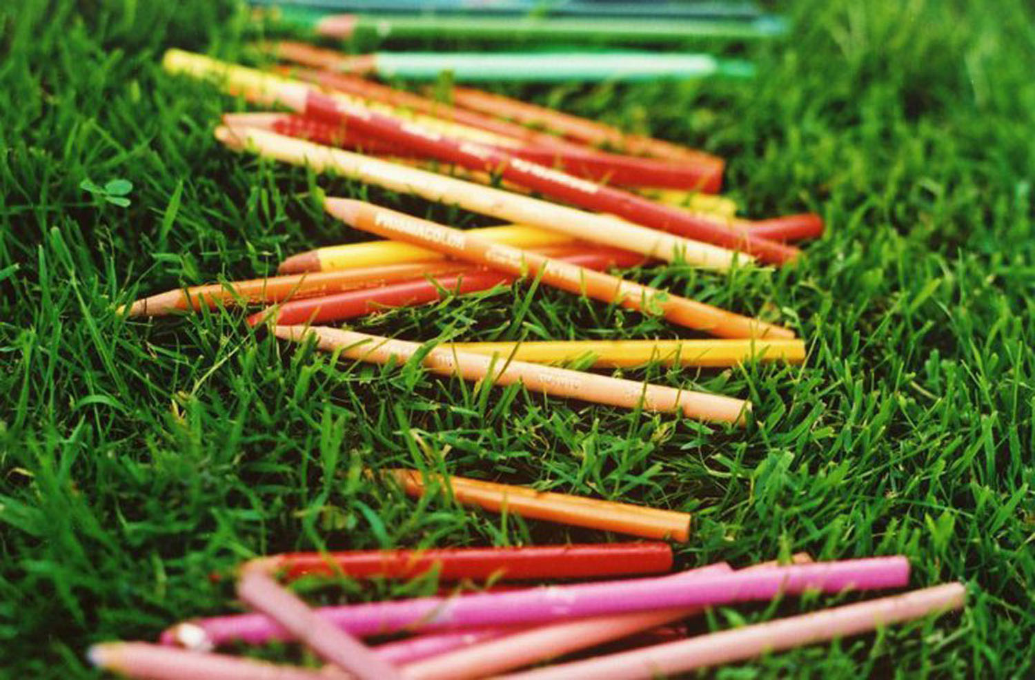 34519_1304046375230_1652610117_750068_2061965_n - Copy.jpg