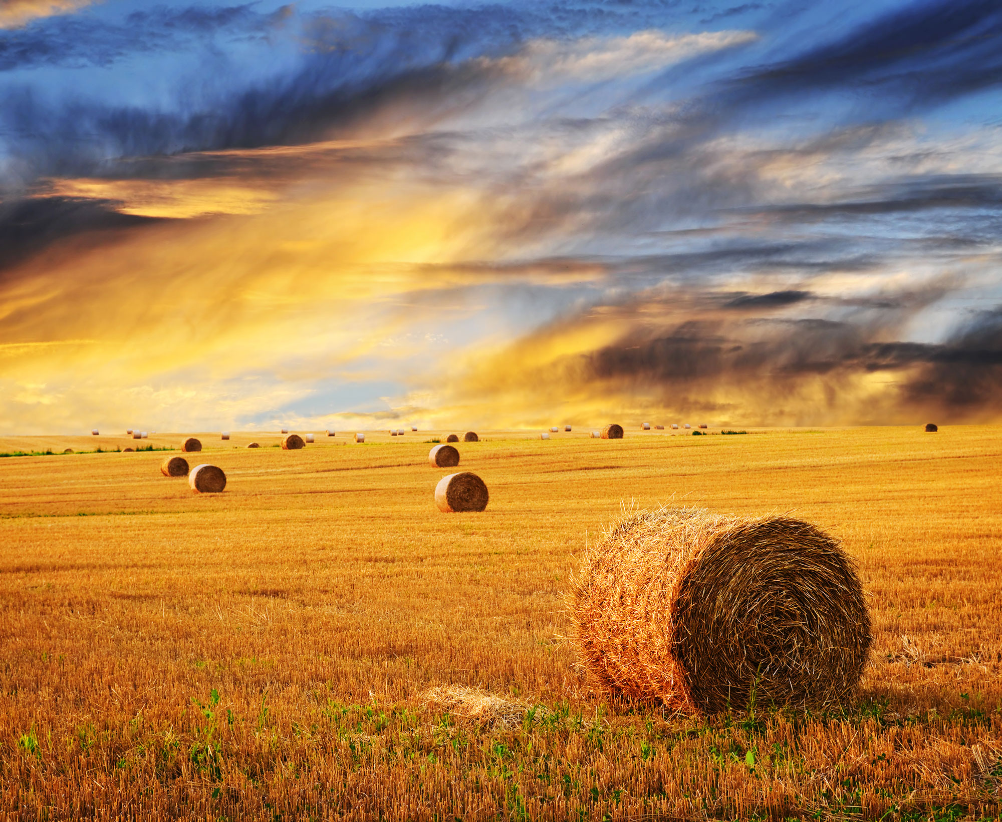 bigstock-Golden-Sunset-Over-Farm-Field-6813037.jpg