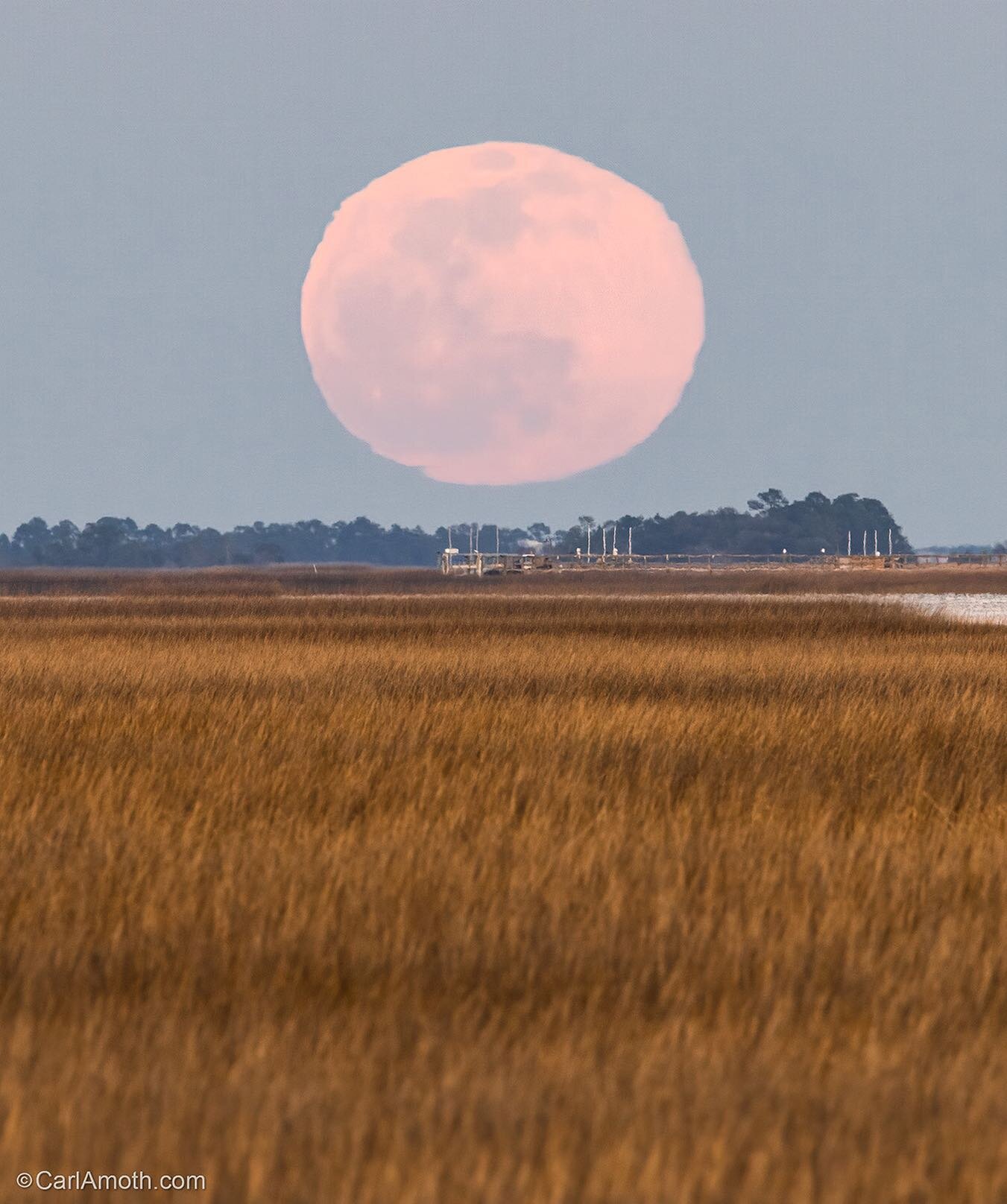 Lowcountry Wolf Moon ~ First Full Moon of the Year

I made this photo this evening along the Kiawah River on Kiawah Island as the moon was rising over Johns Island and the sun had just set behind me. The atmosphere on the horizon distorted the shape 