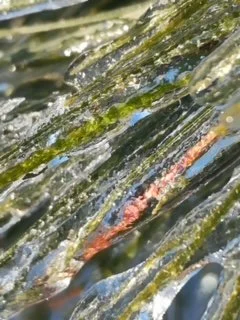 Greg-Mason-Burns_Cold Reflection_31x26-framed_Photography-on-Archival-Paper_2000.jpg