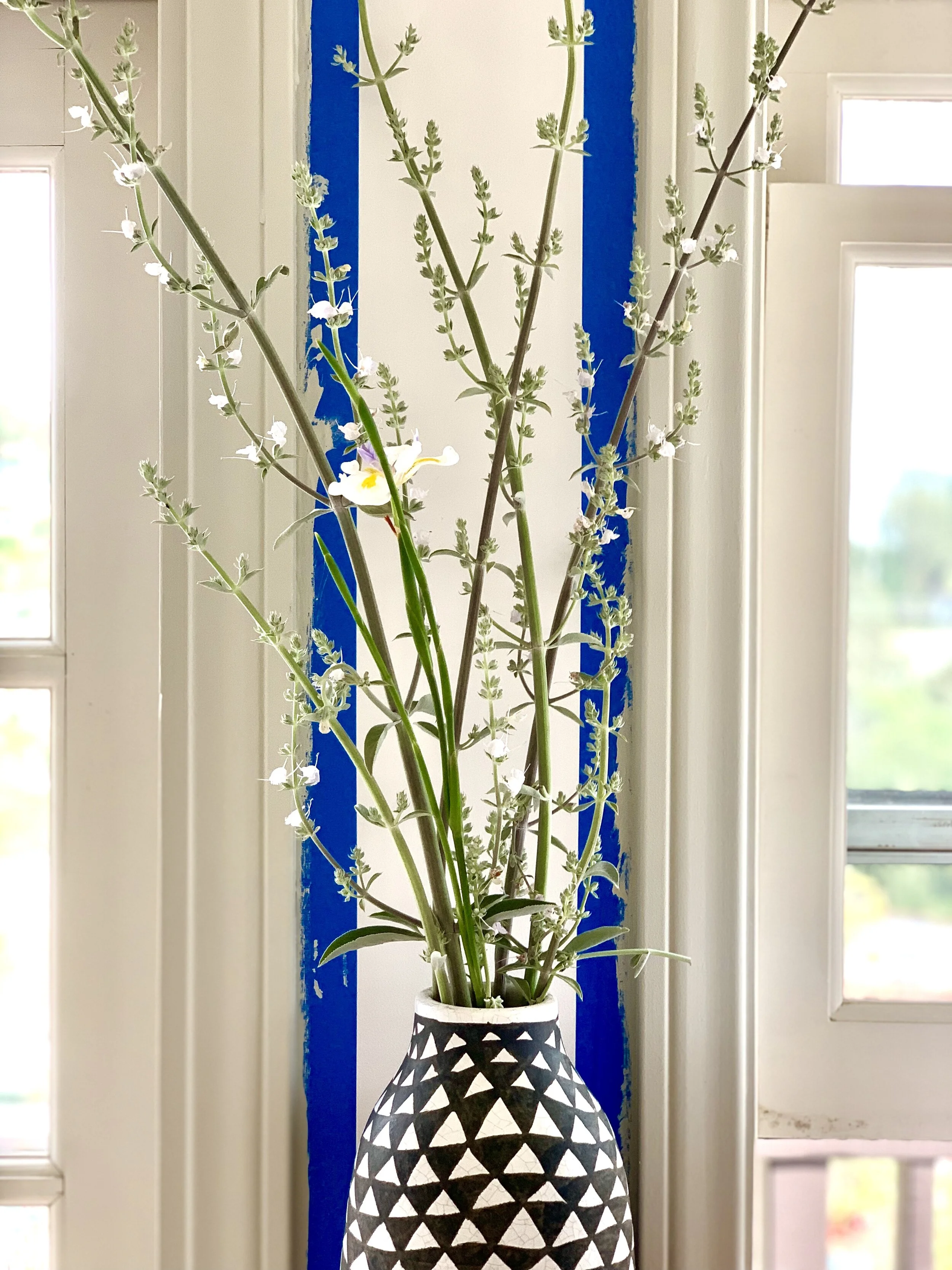 20Photo Apr 30, 5 06 29 PM.jpg