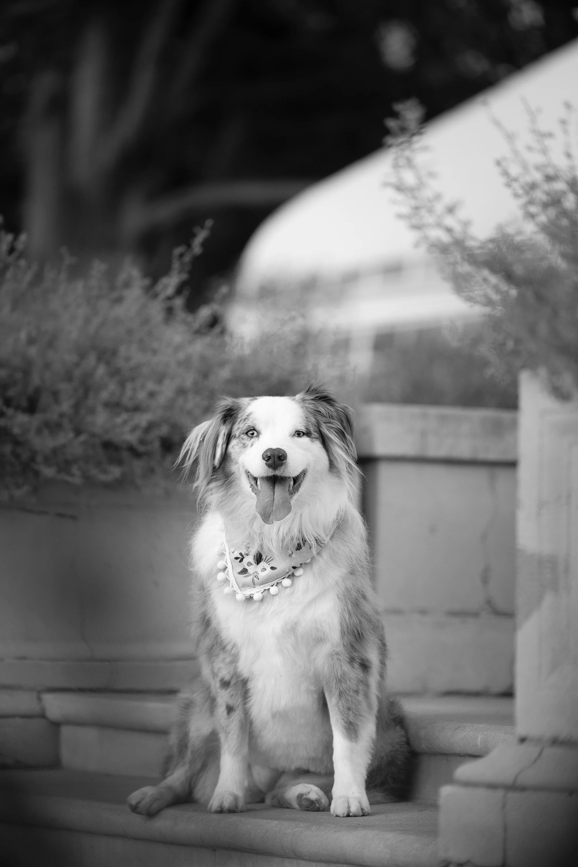 322A0187bw.jpg