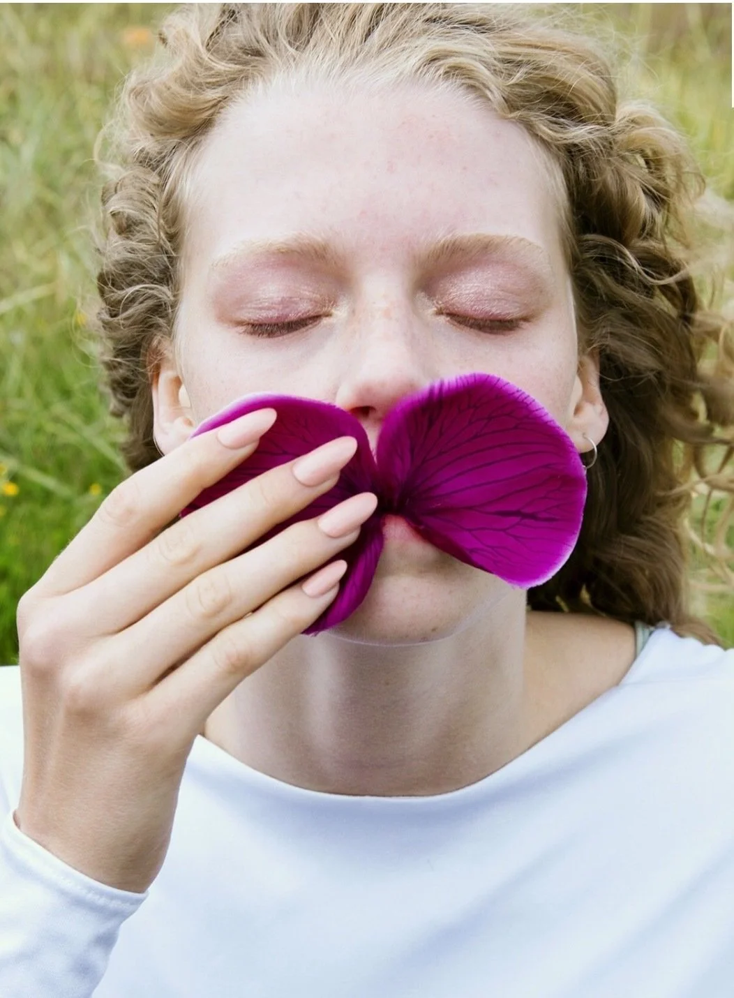 icelandflower.jpg