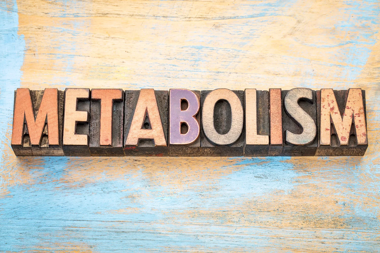 Metabolism-Diet.jpg