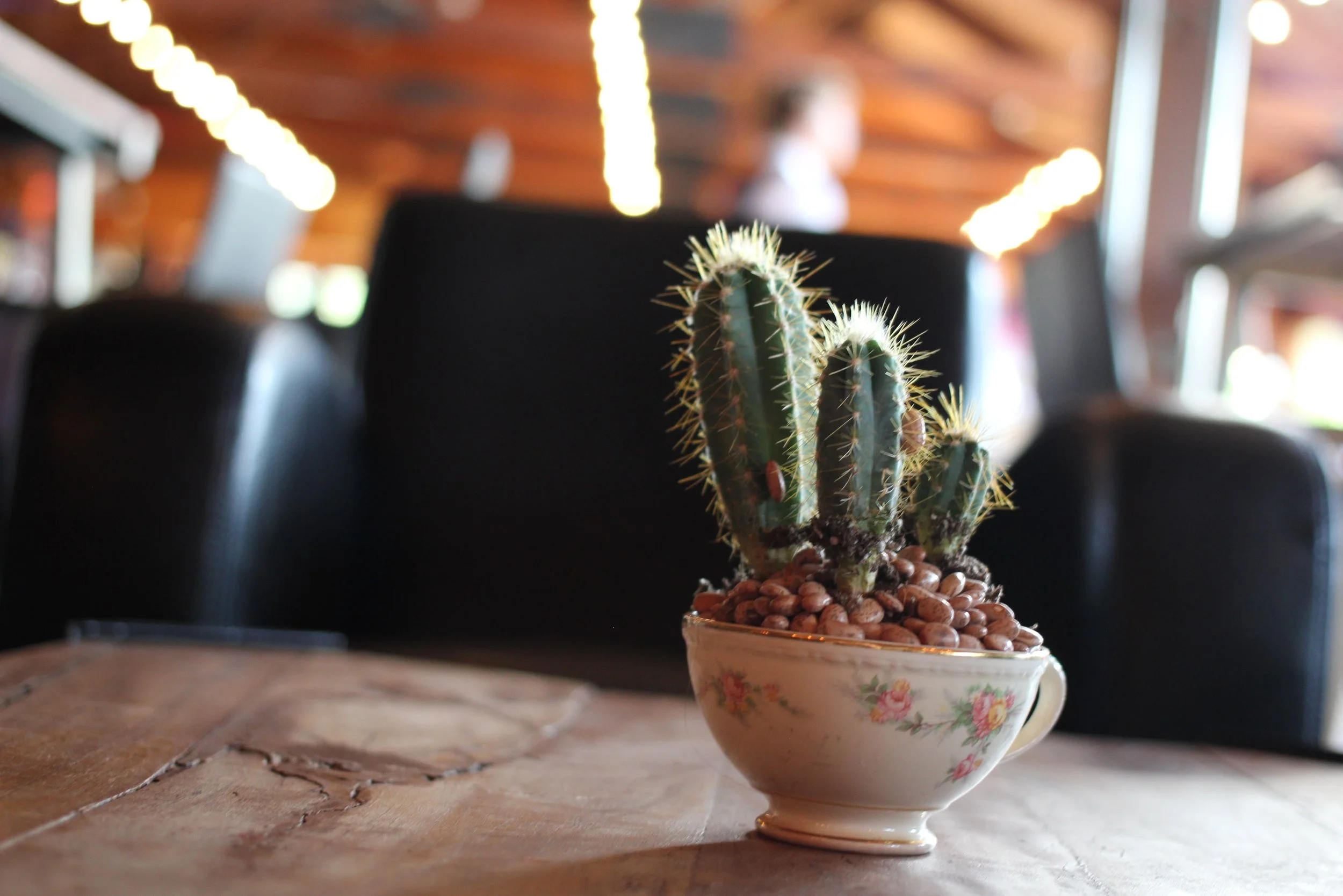 Be Thou my Vision, O Lord of my heartNaught be all else to me, save that Thou artThou my best Thought, by day or by nightWaking or sleeping, Thy presence my light